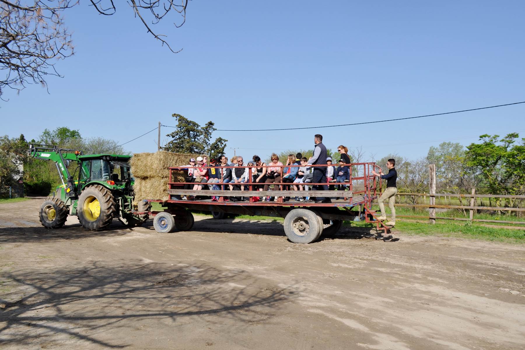 Matinée Camarguaise