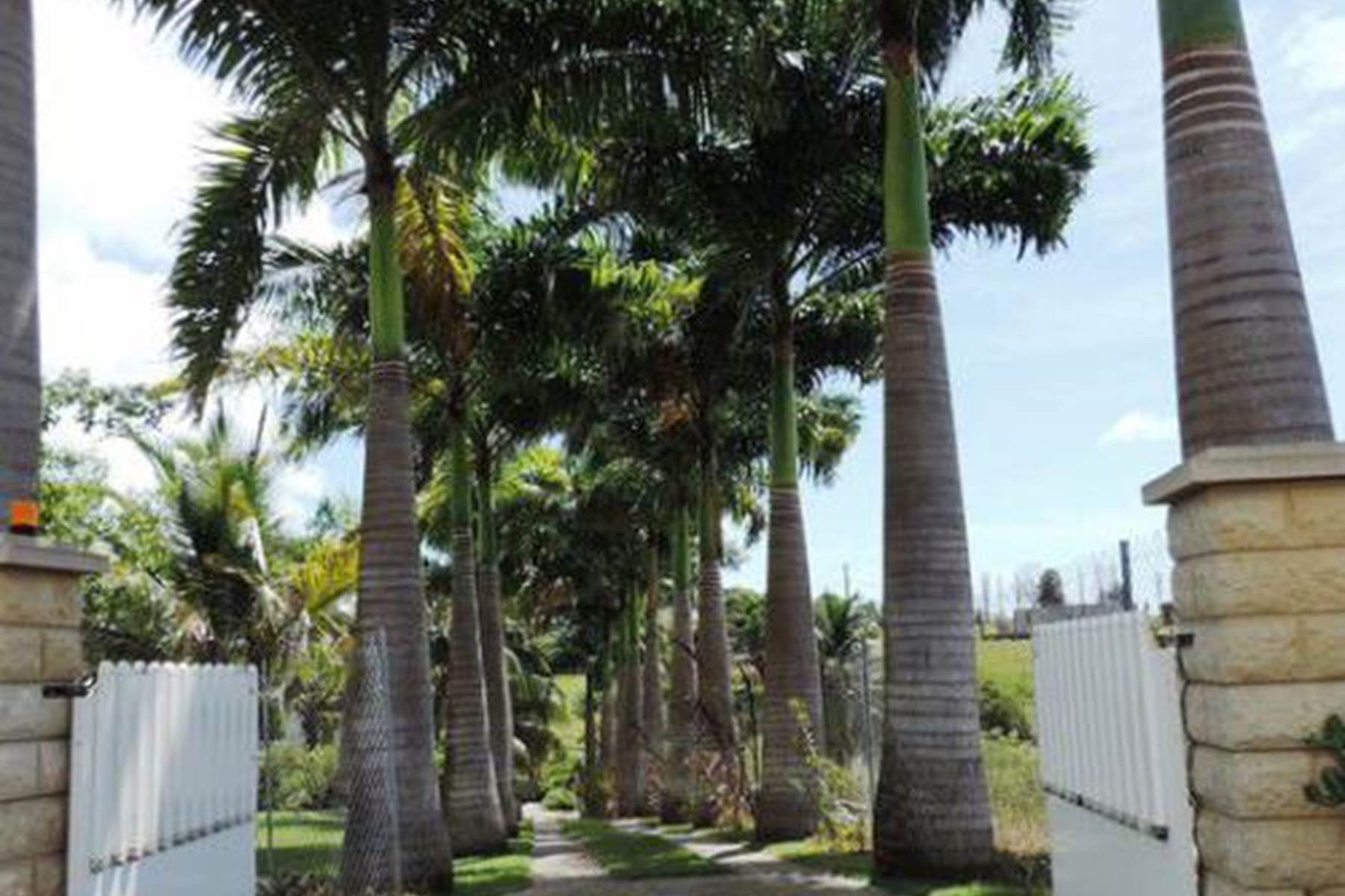 Sans titre-photo-page