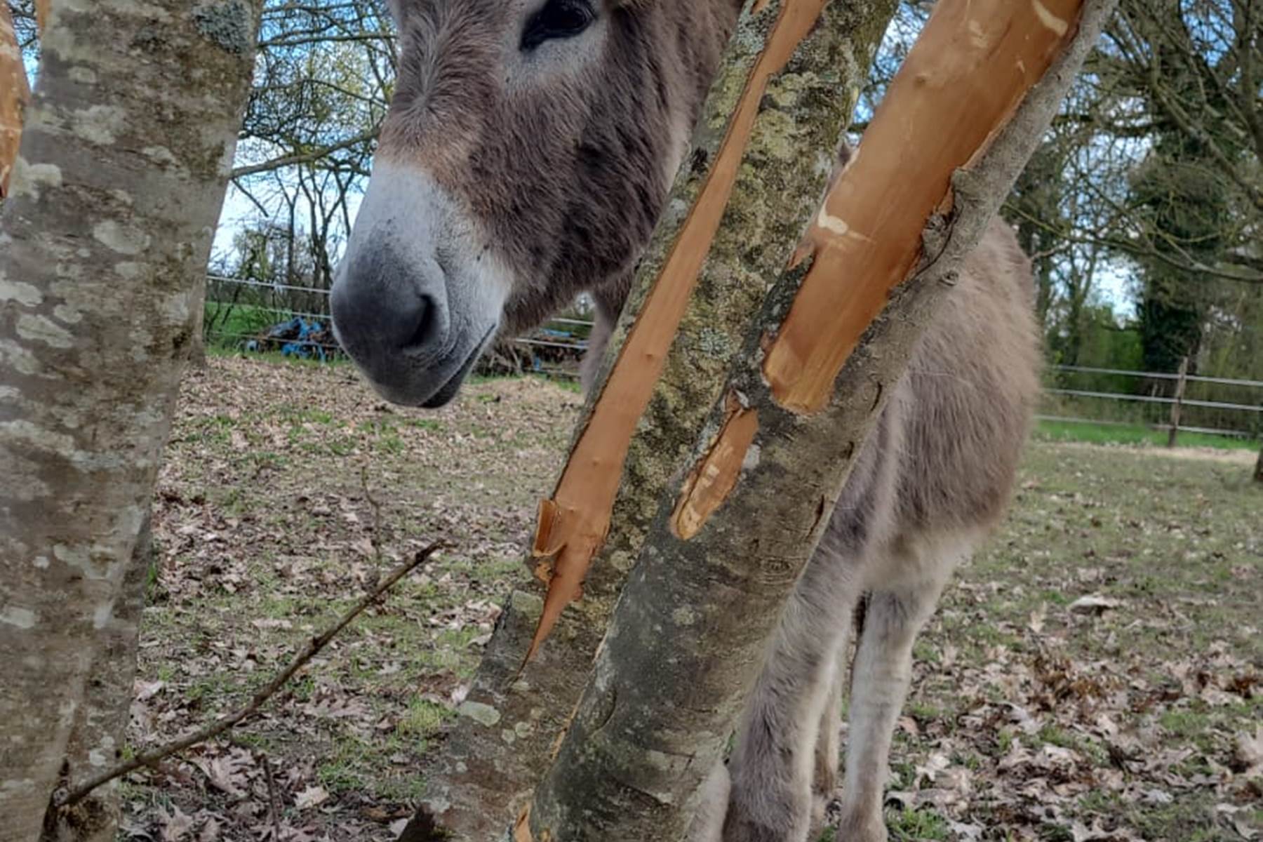 Sans titre-photo-page