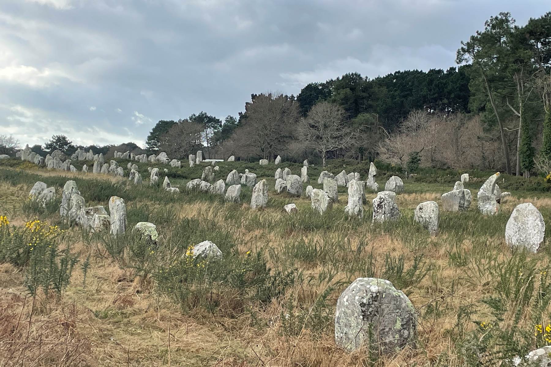 Carnac-site-prehistorique-dolmens-patrimoine-unesco-decouverte-vacances-bretagne-sud-photo-page
