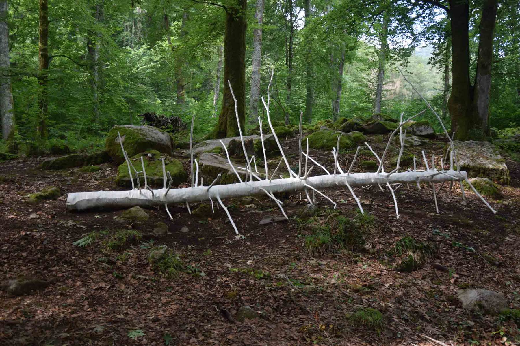 Embaumement 43°05'51.0N 0°04'56.0W, Lorène Roustin, 2022 @ADAGP Paris (2)