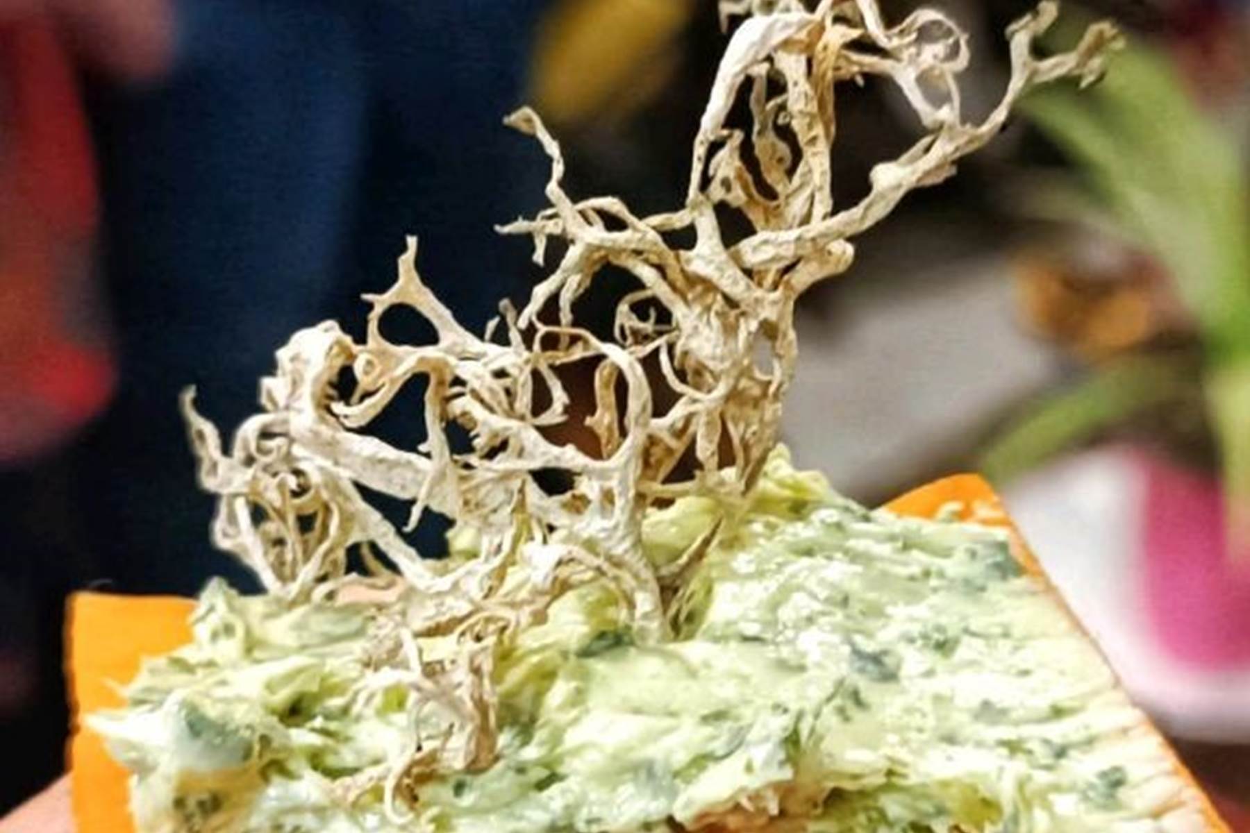 Goûteuses mauvaises herbes 1