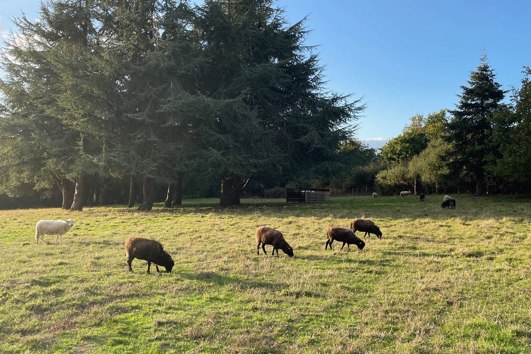 Sans titre-photo-page