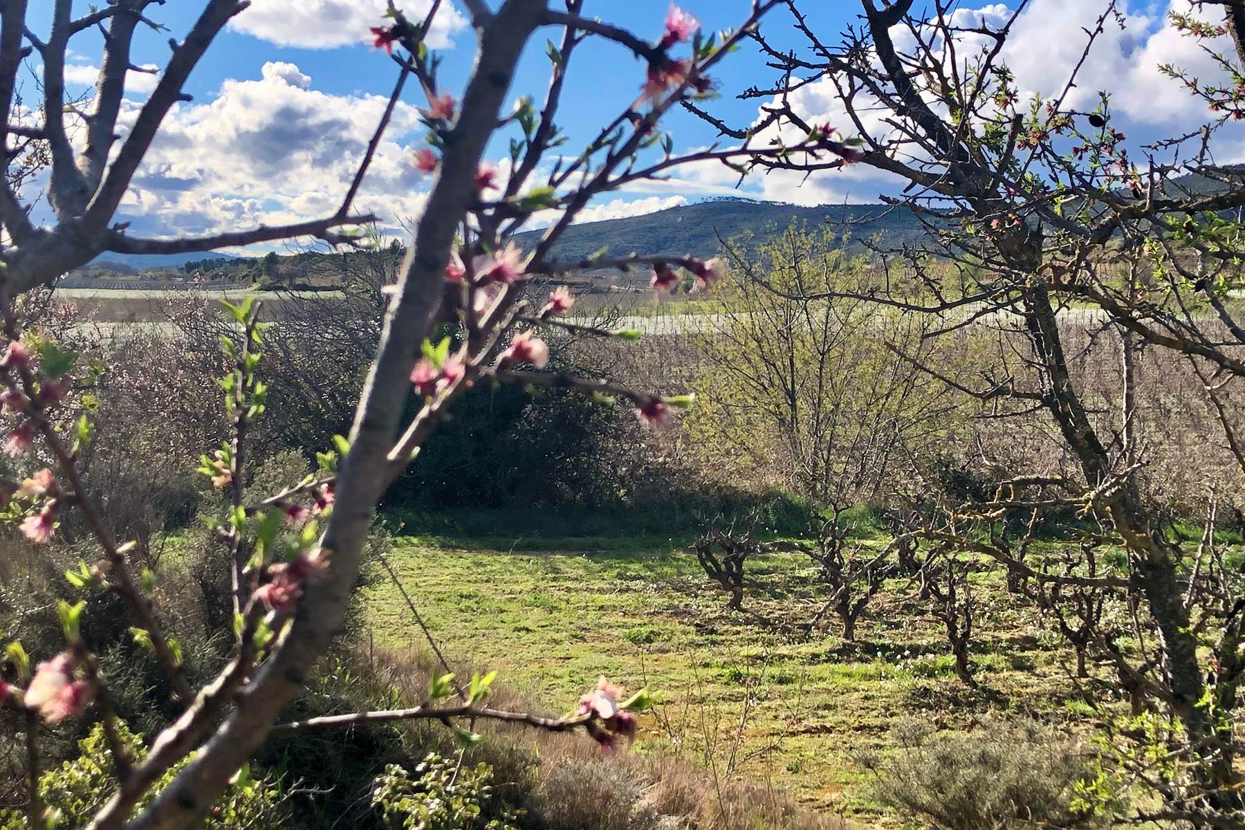 idée week end à faire au printemps-photo-page