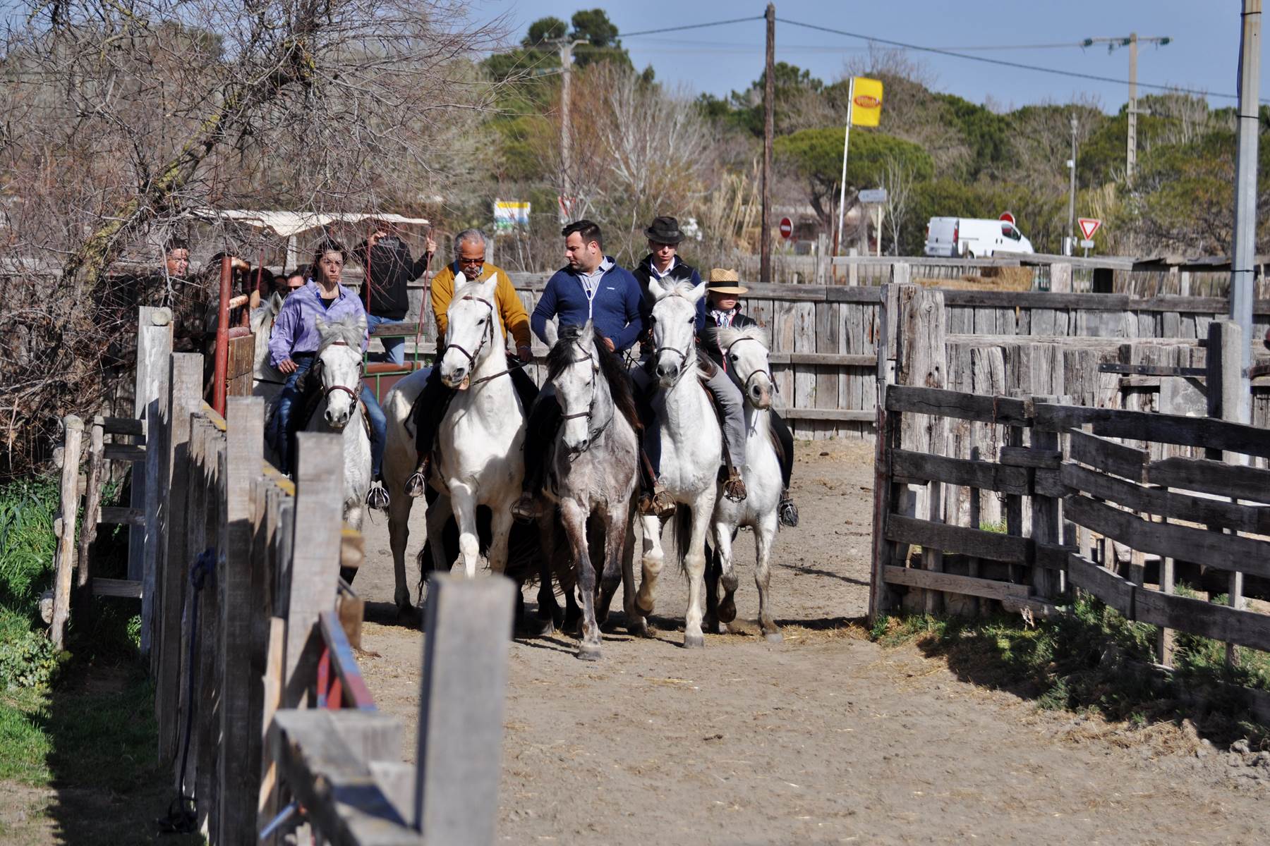 Entraînement d'Abrivado