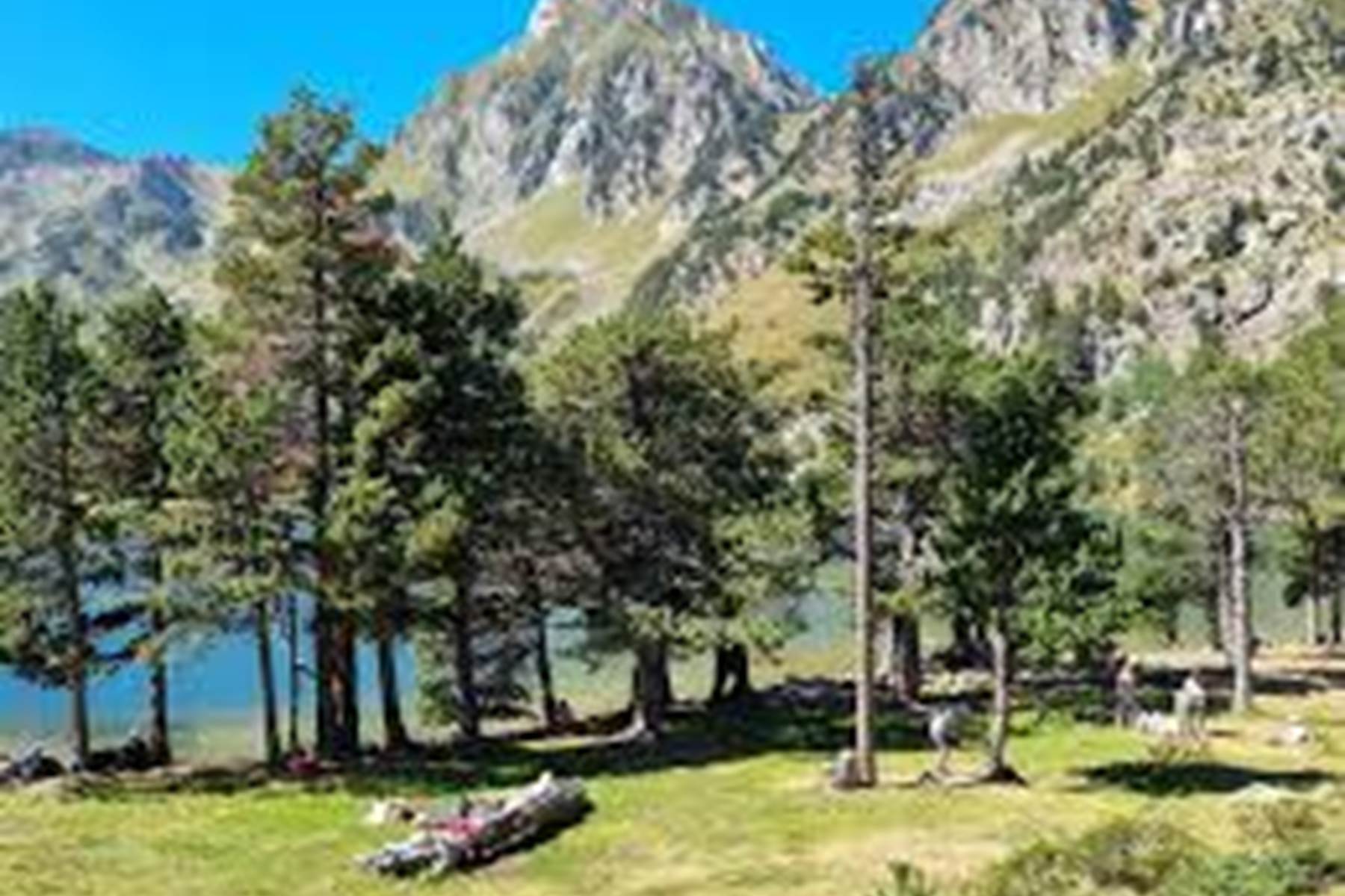 Le Laurenti-photo-page