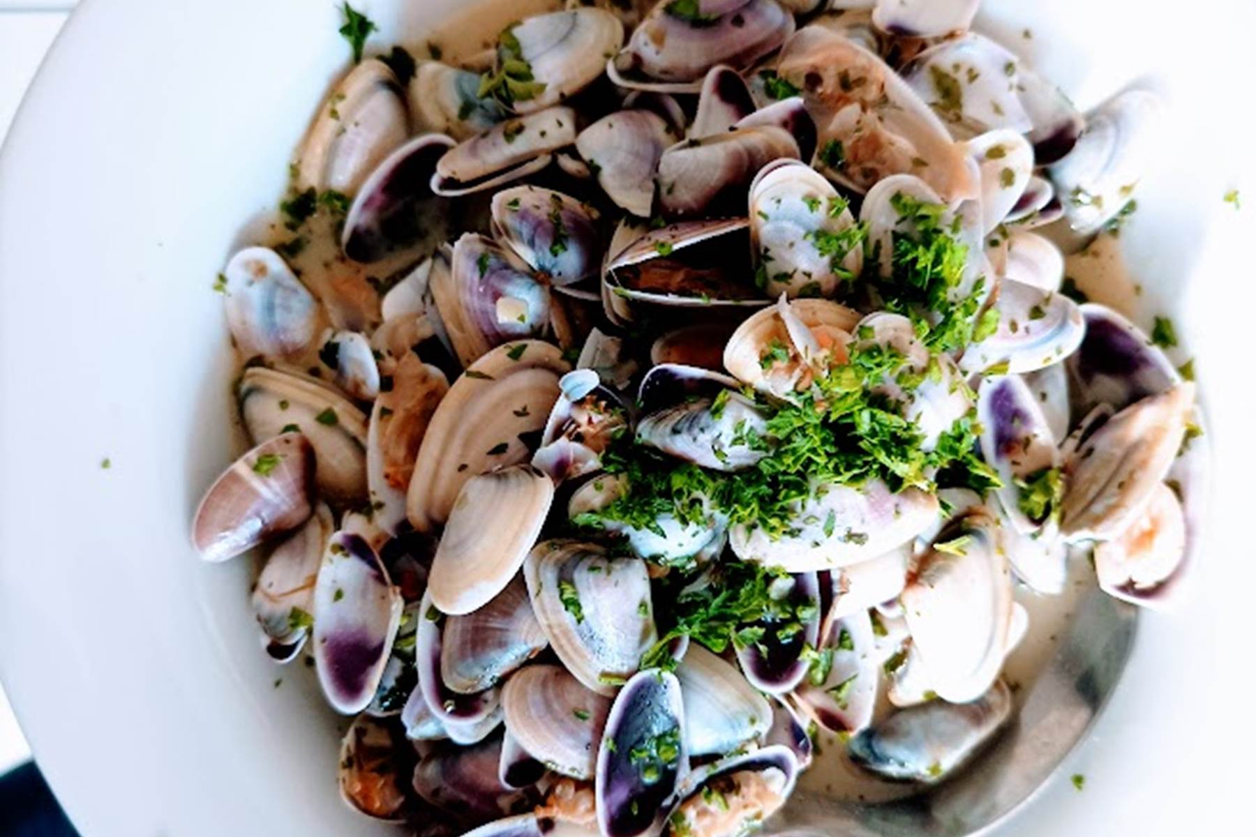 Sans titre-photo-page