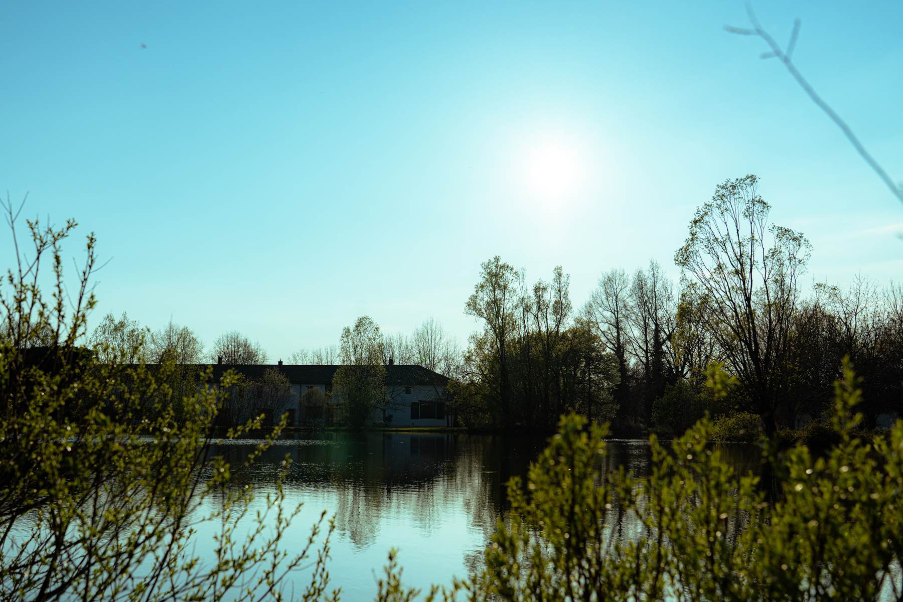 Sans titre-photo-page