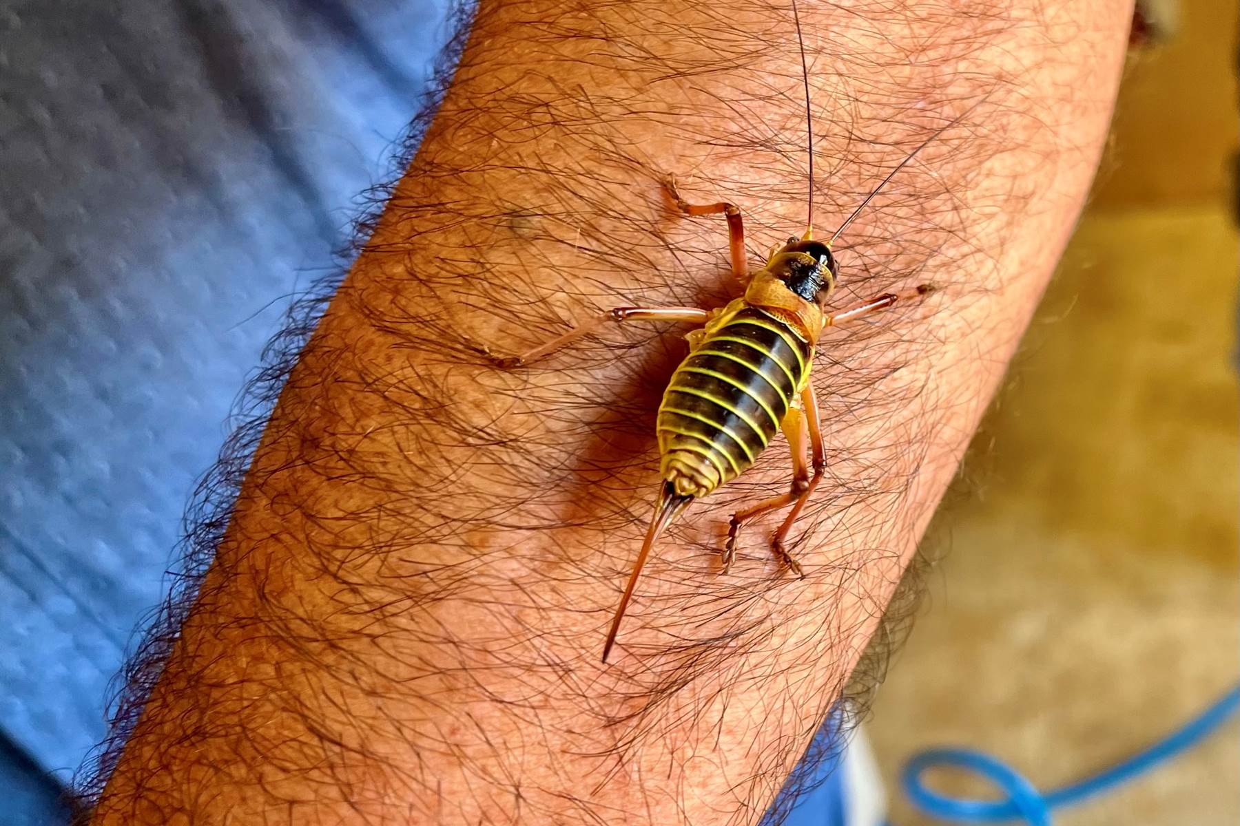 sorties nature-photo-page