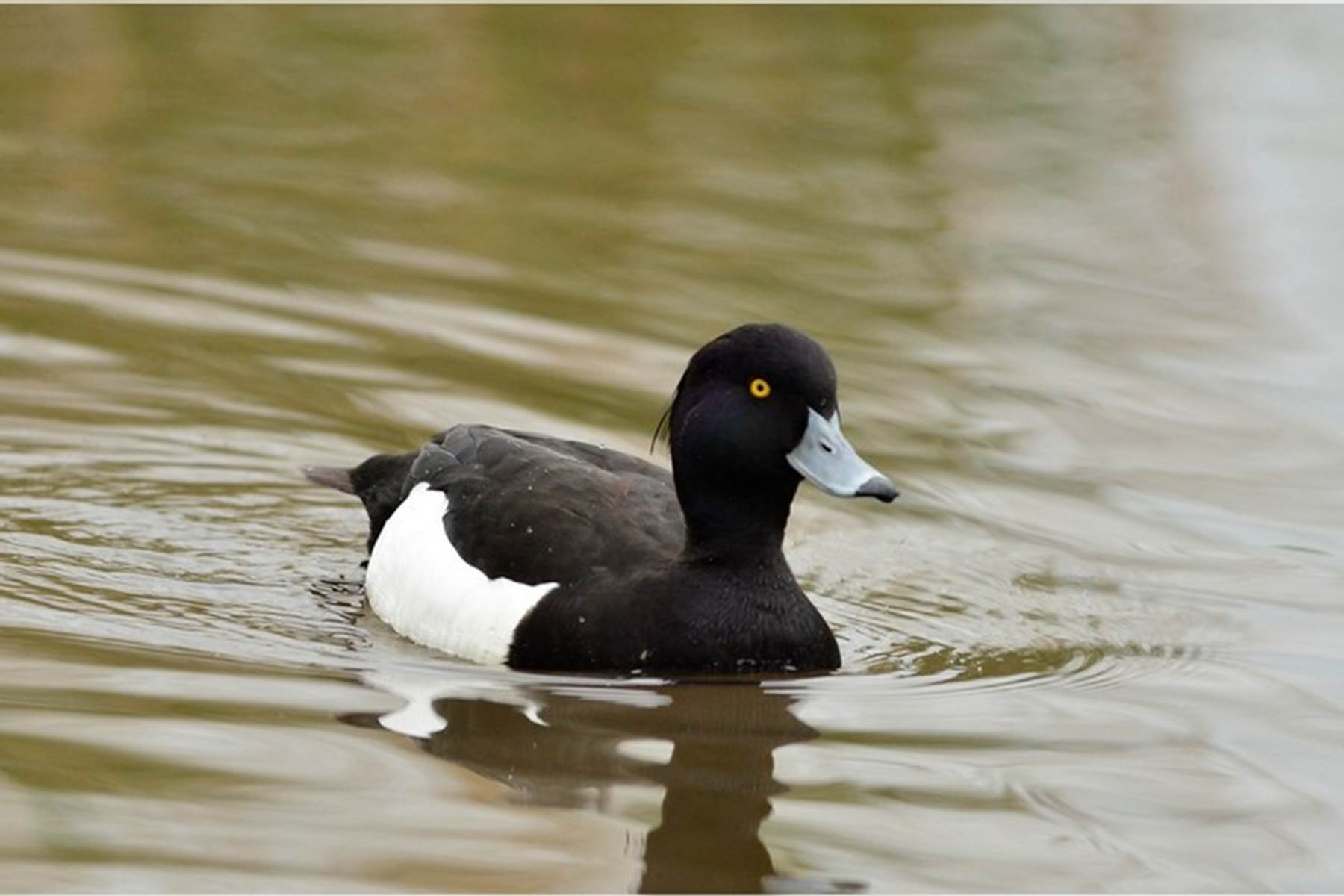 Sans titre-photo-page