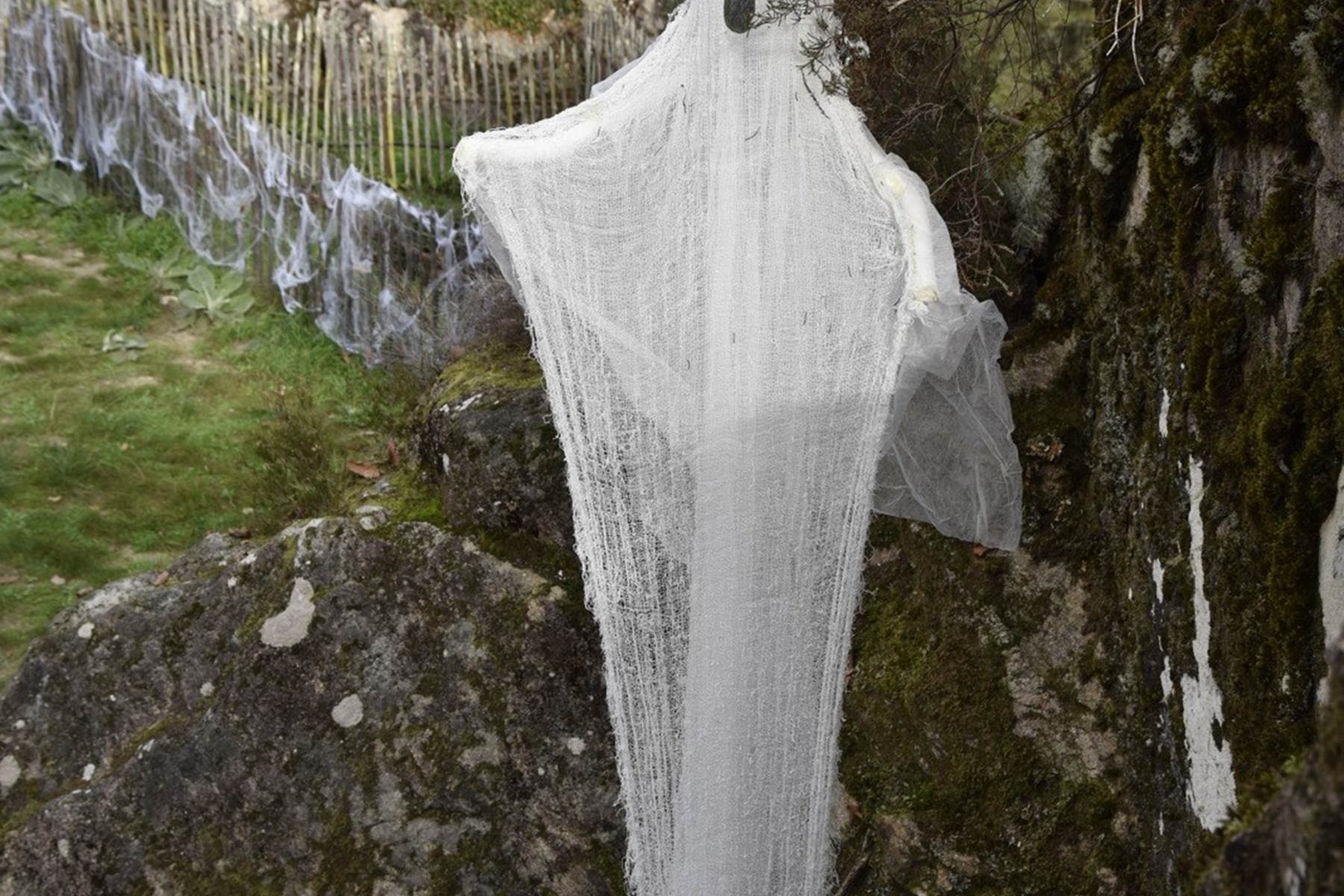 Fantômes Merle ©B.Bardi