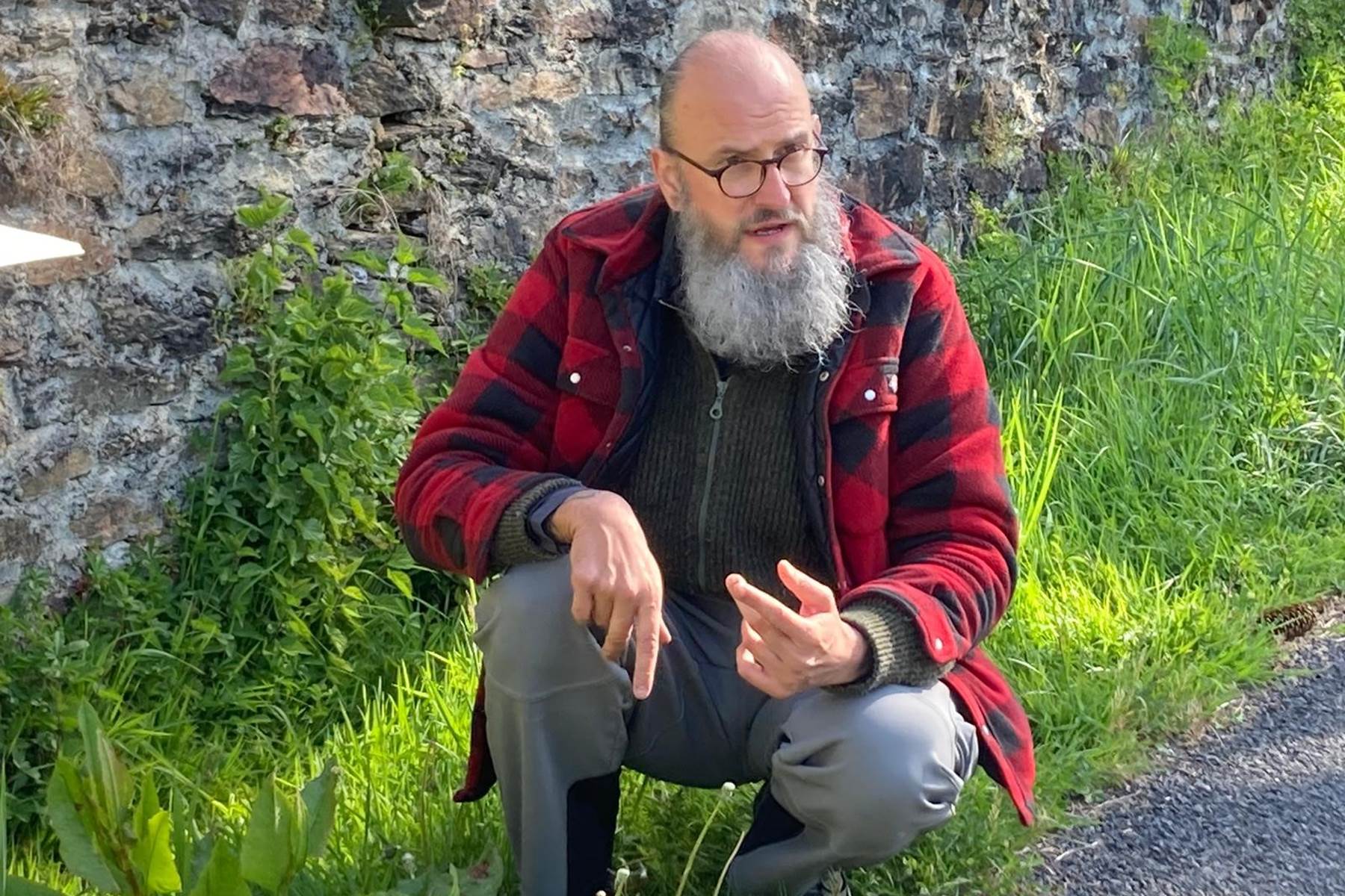 Goûteuses mauvaises herbes 2