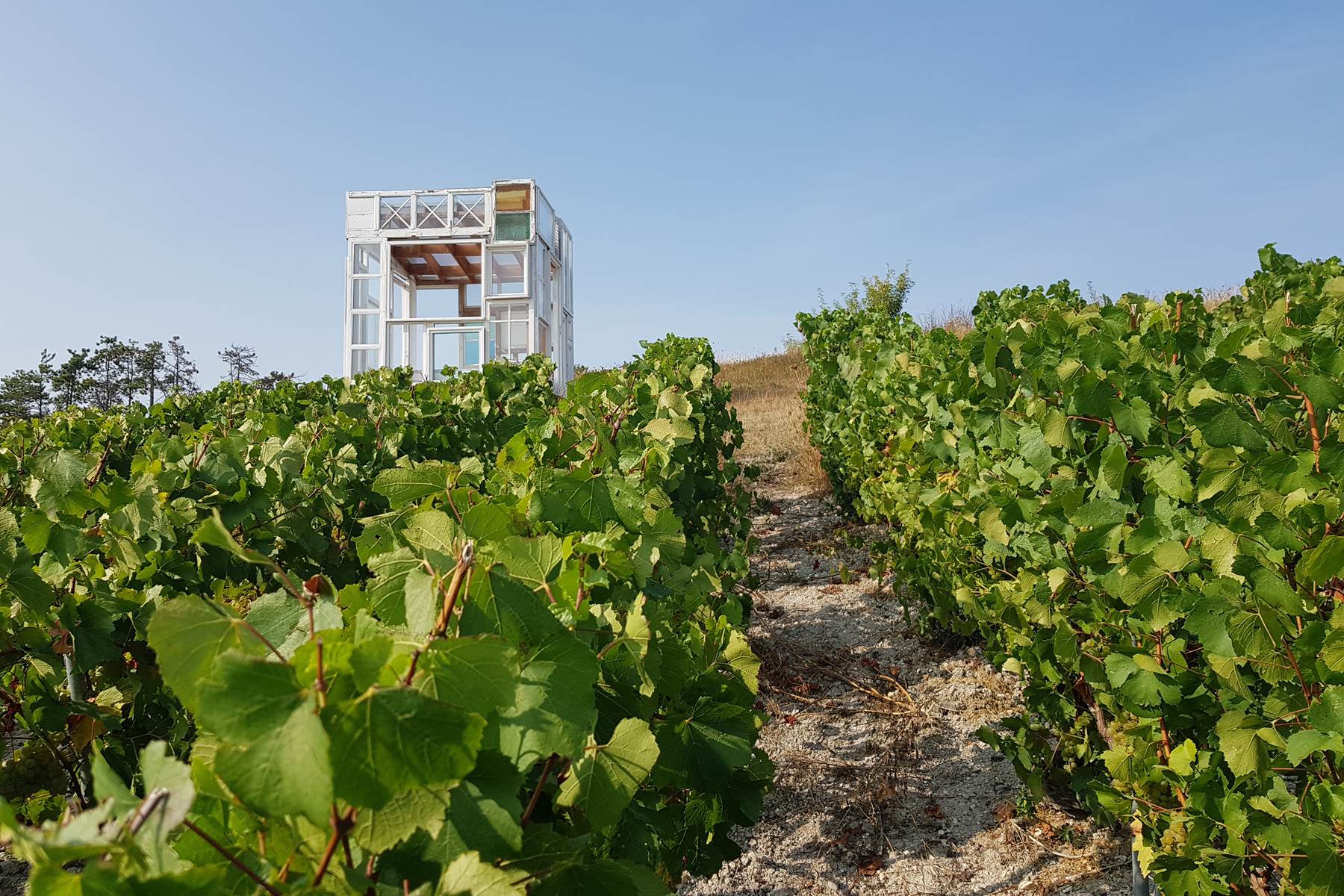 Sans titre-photo-page