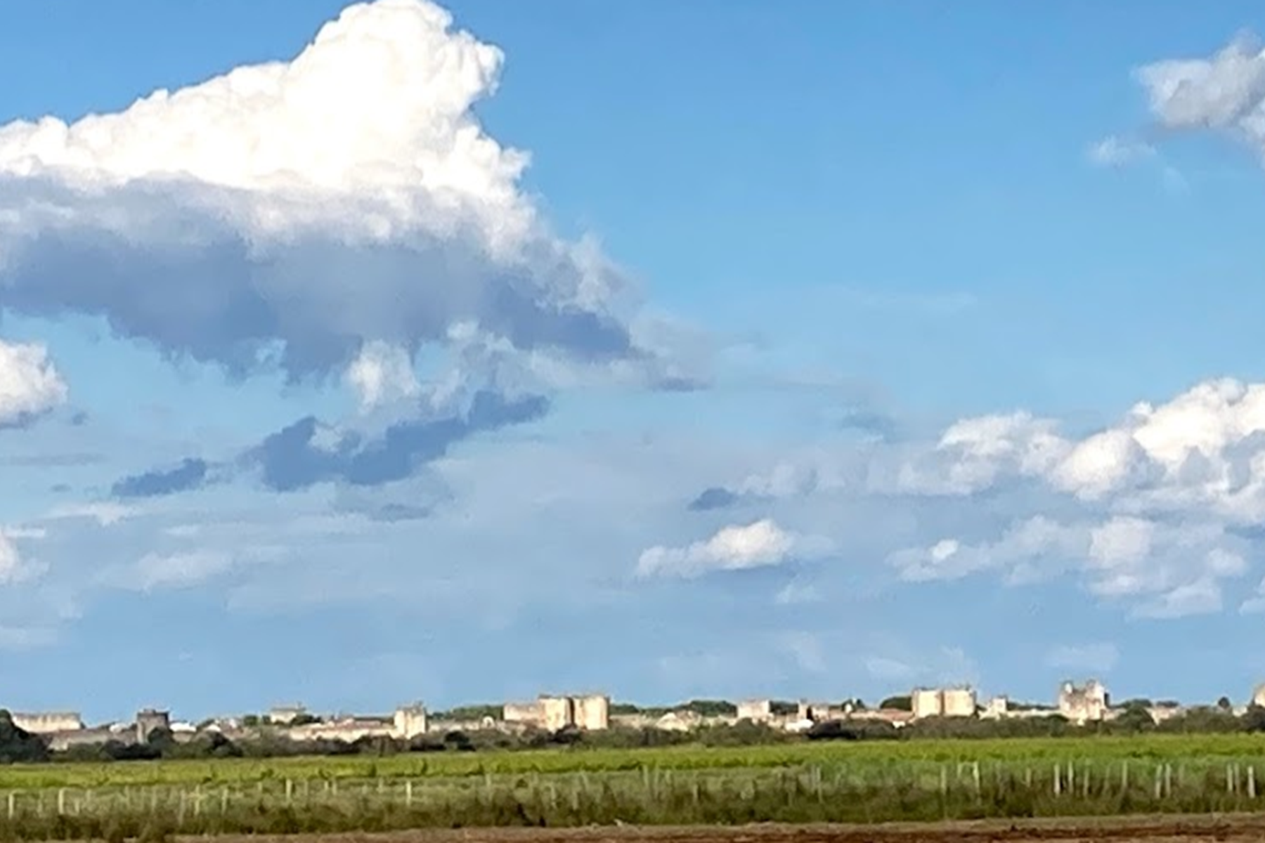 Panorama sur les Remparts d'Aigues Mortes