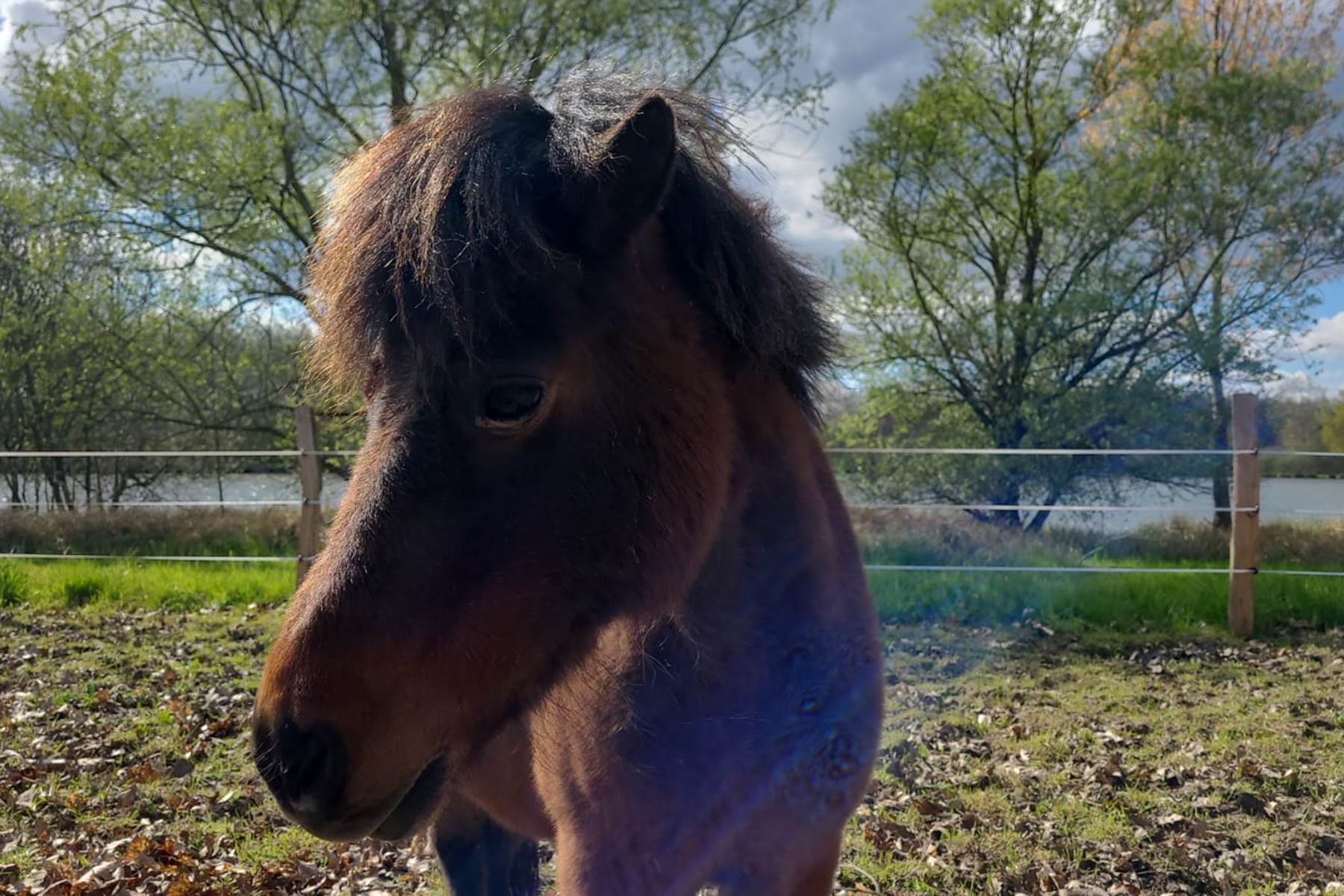 Sans titre-photo-page