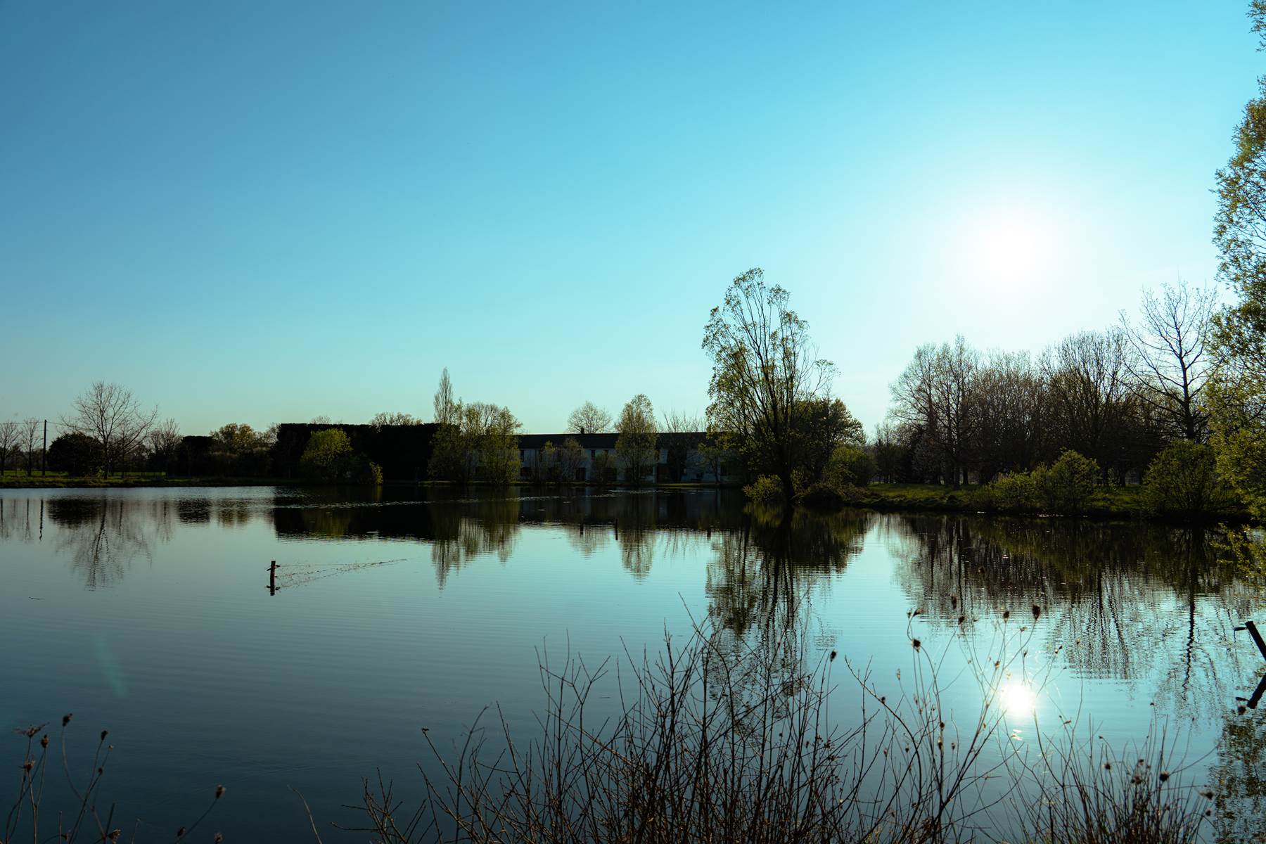 Sans titre-photo-page