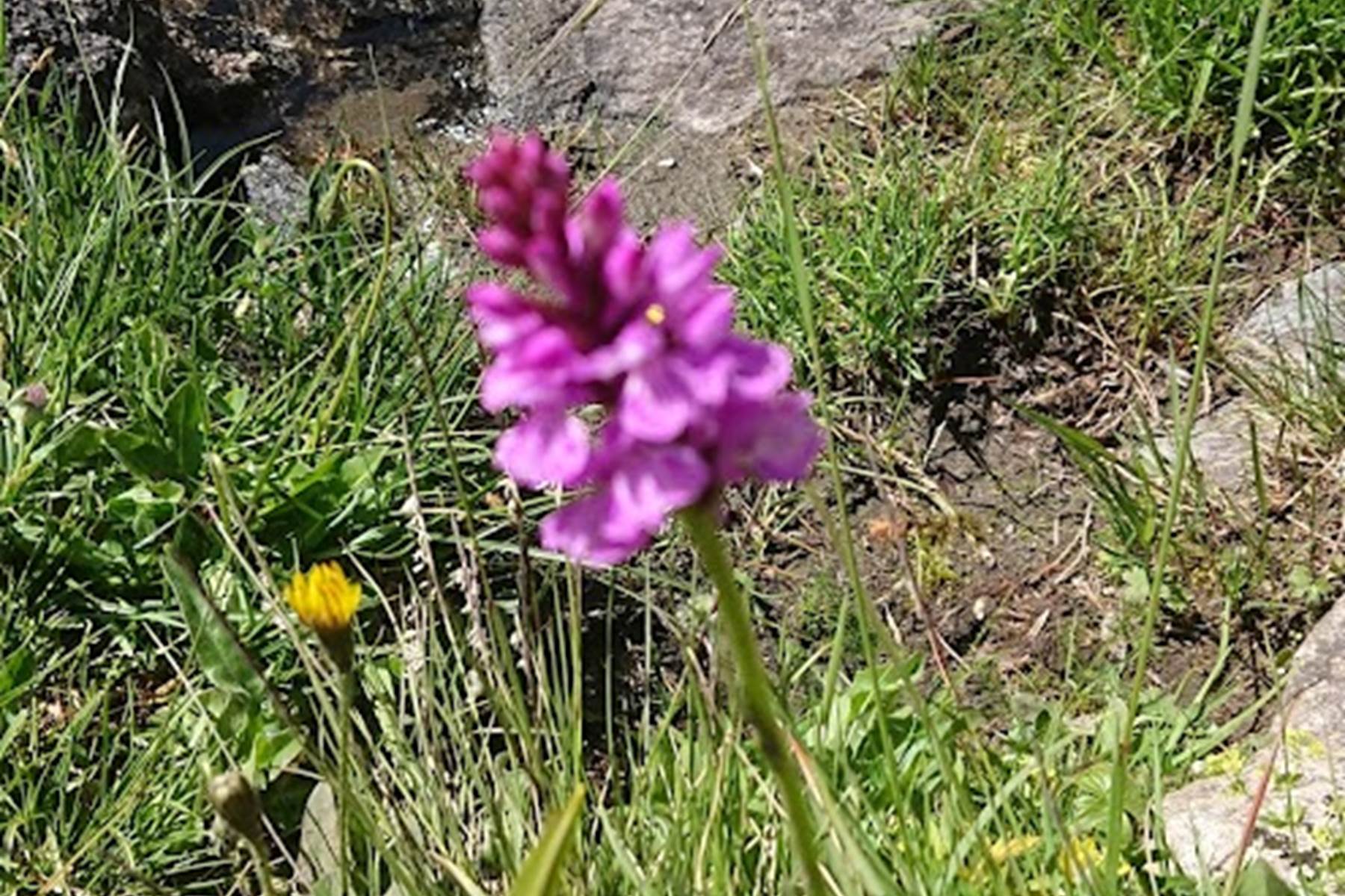 Sans titre-photo-page