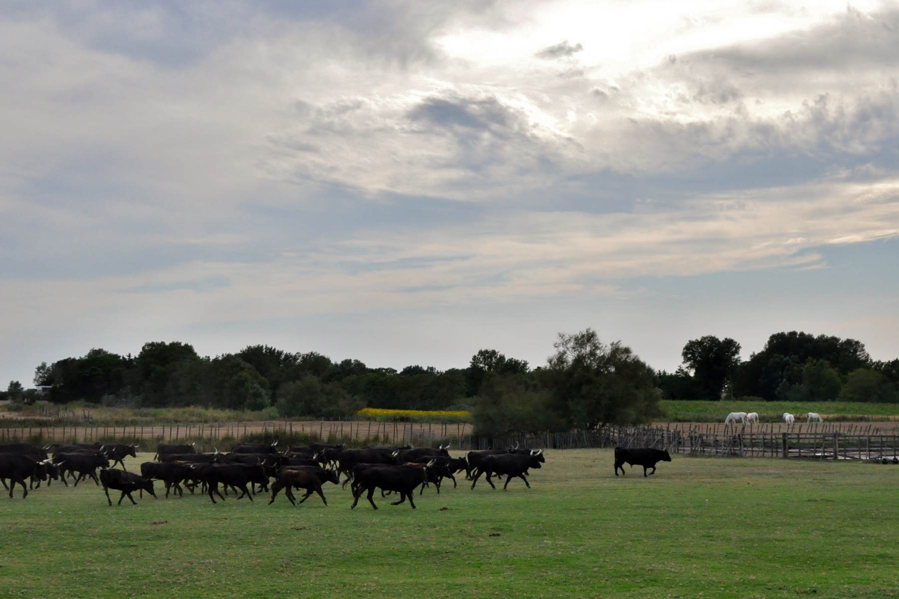 En direction du clos de tri
