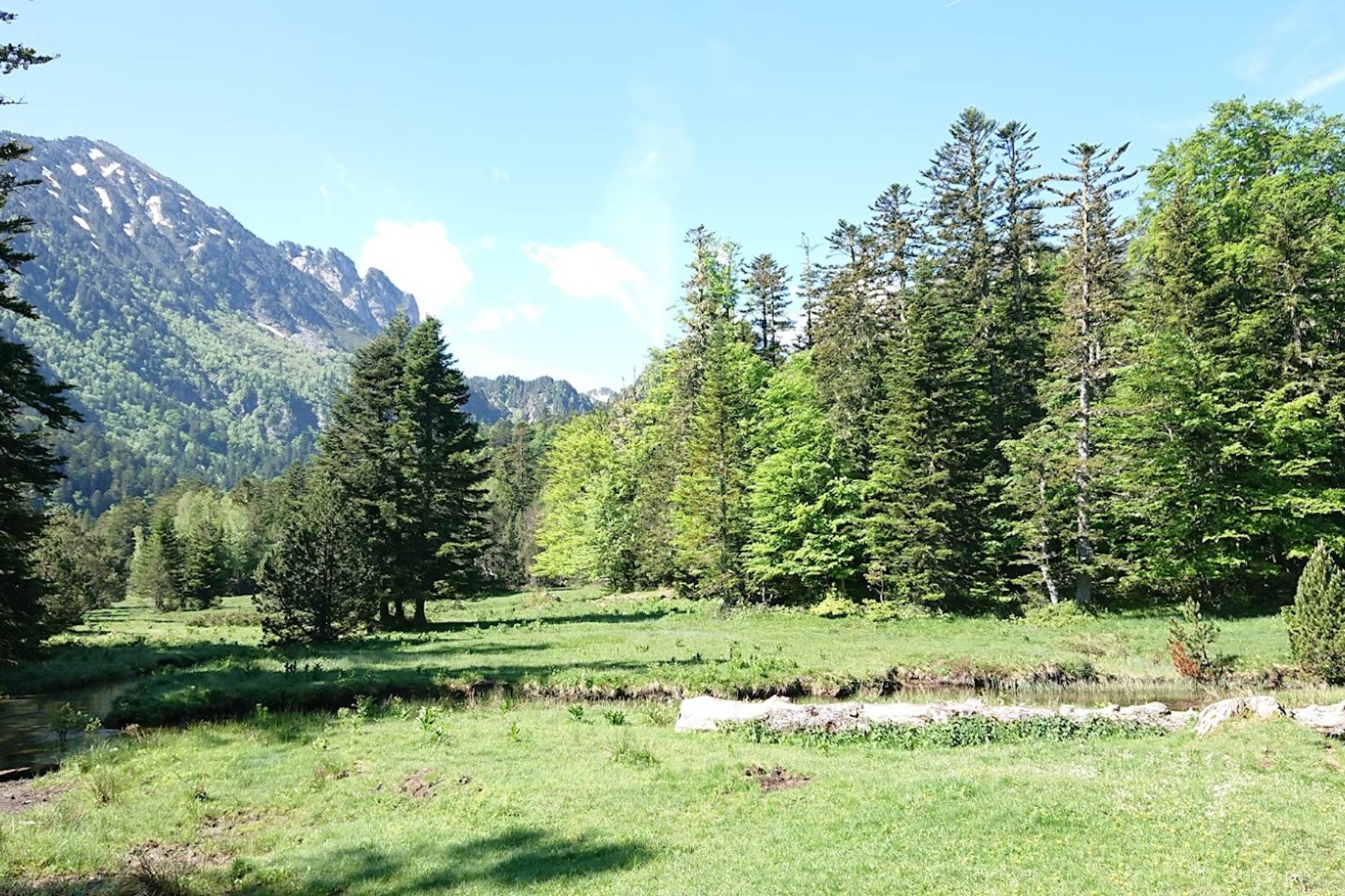 Sans titre-photo-page