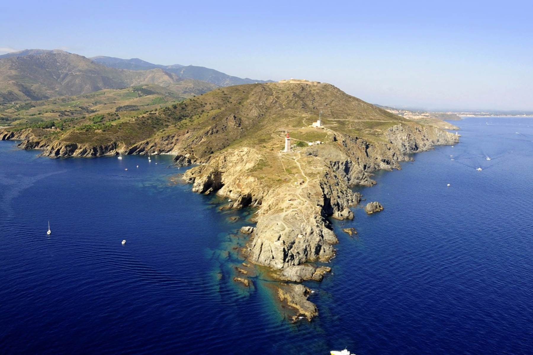 FC92FC77-9CD9-49DA-8950-849D4DF5D060