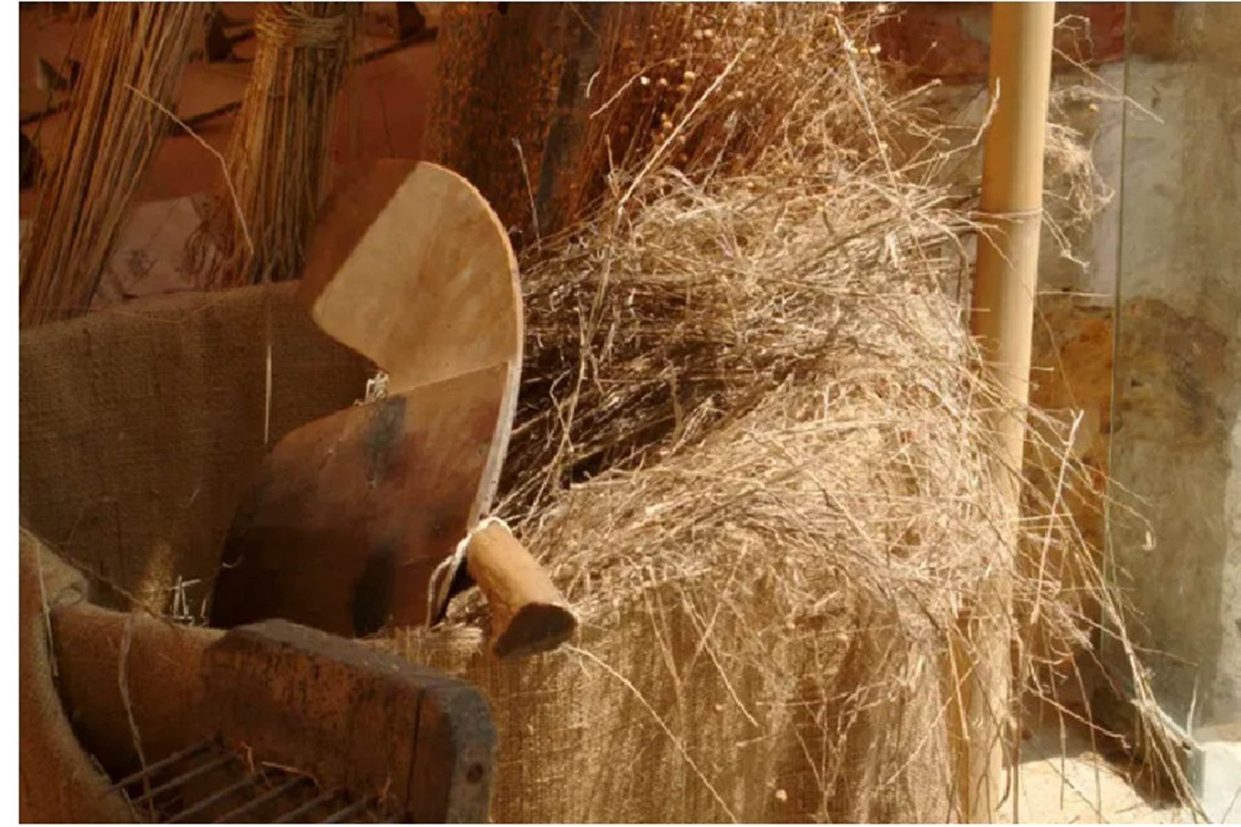 La ferme au fils des saisons - Amfreville les C.-photo-page