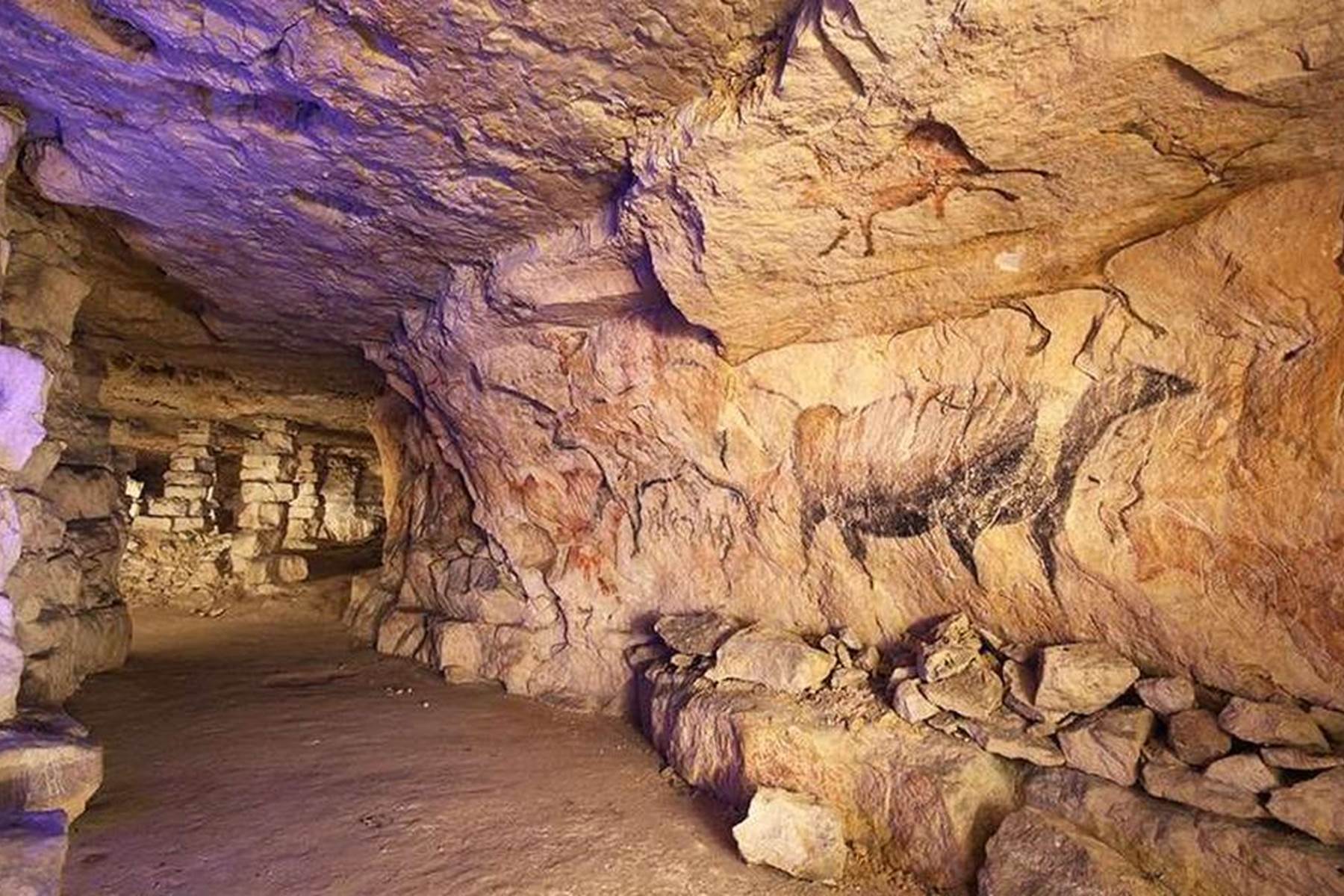 Visite-art-culture-Nouvelle-Aquitaine-Lascaux-photo-page