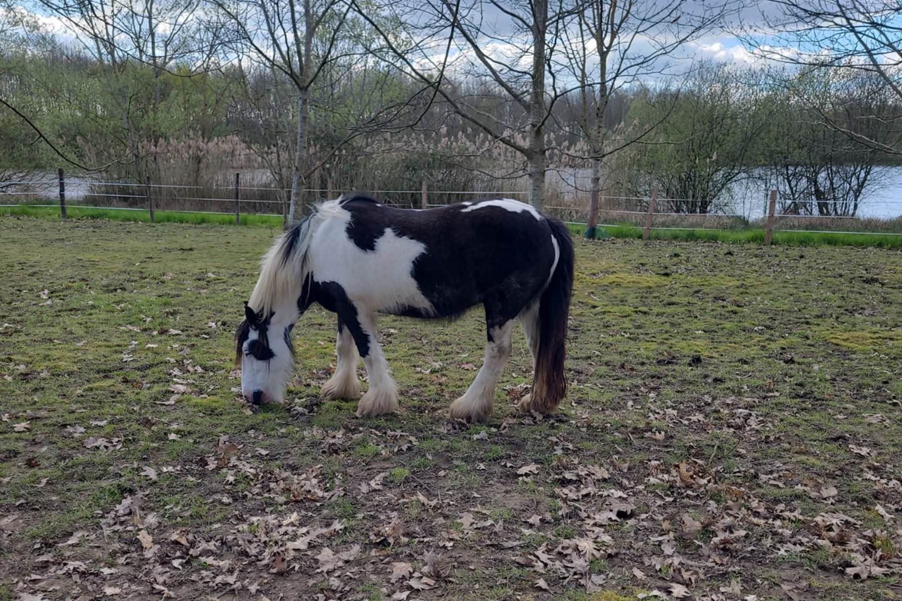 Sans titre-photo-page