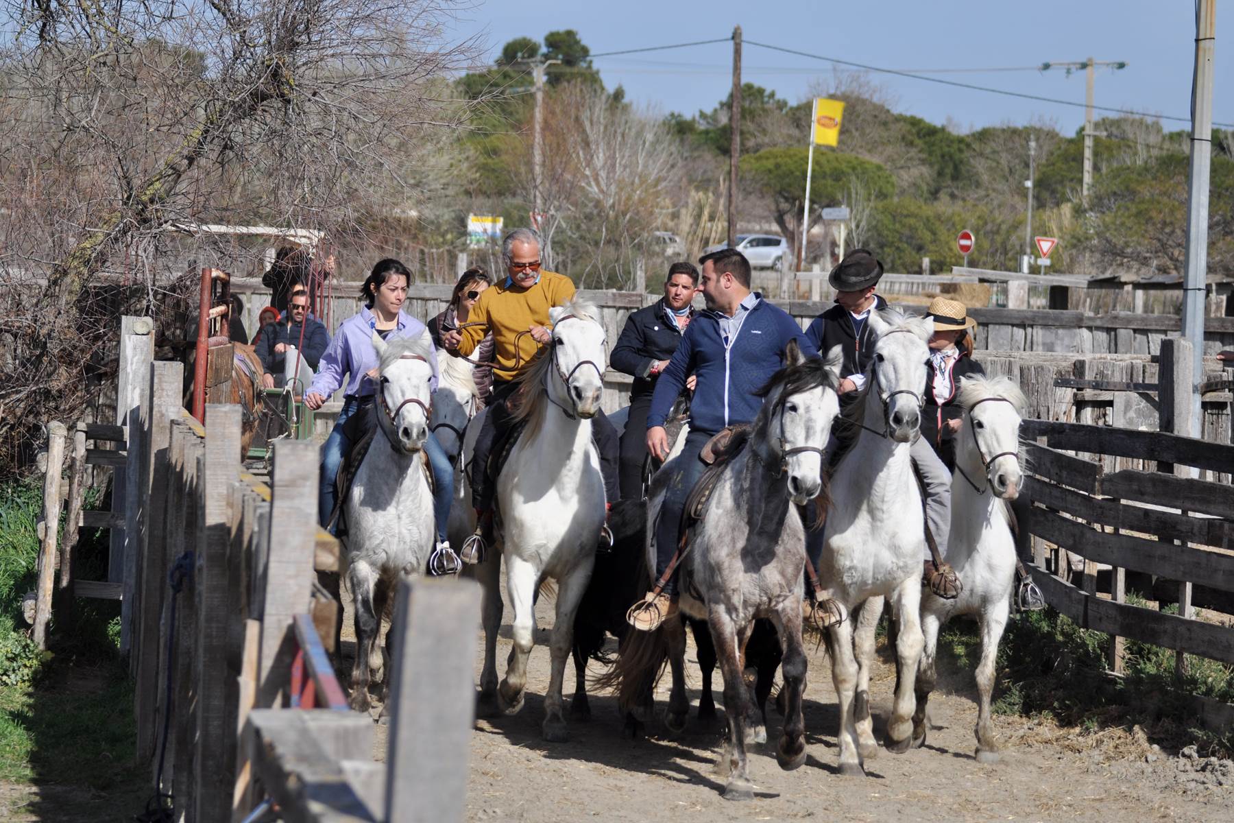 Entraînement d'Abrivado