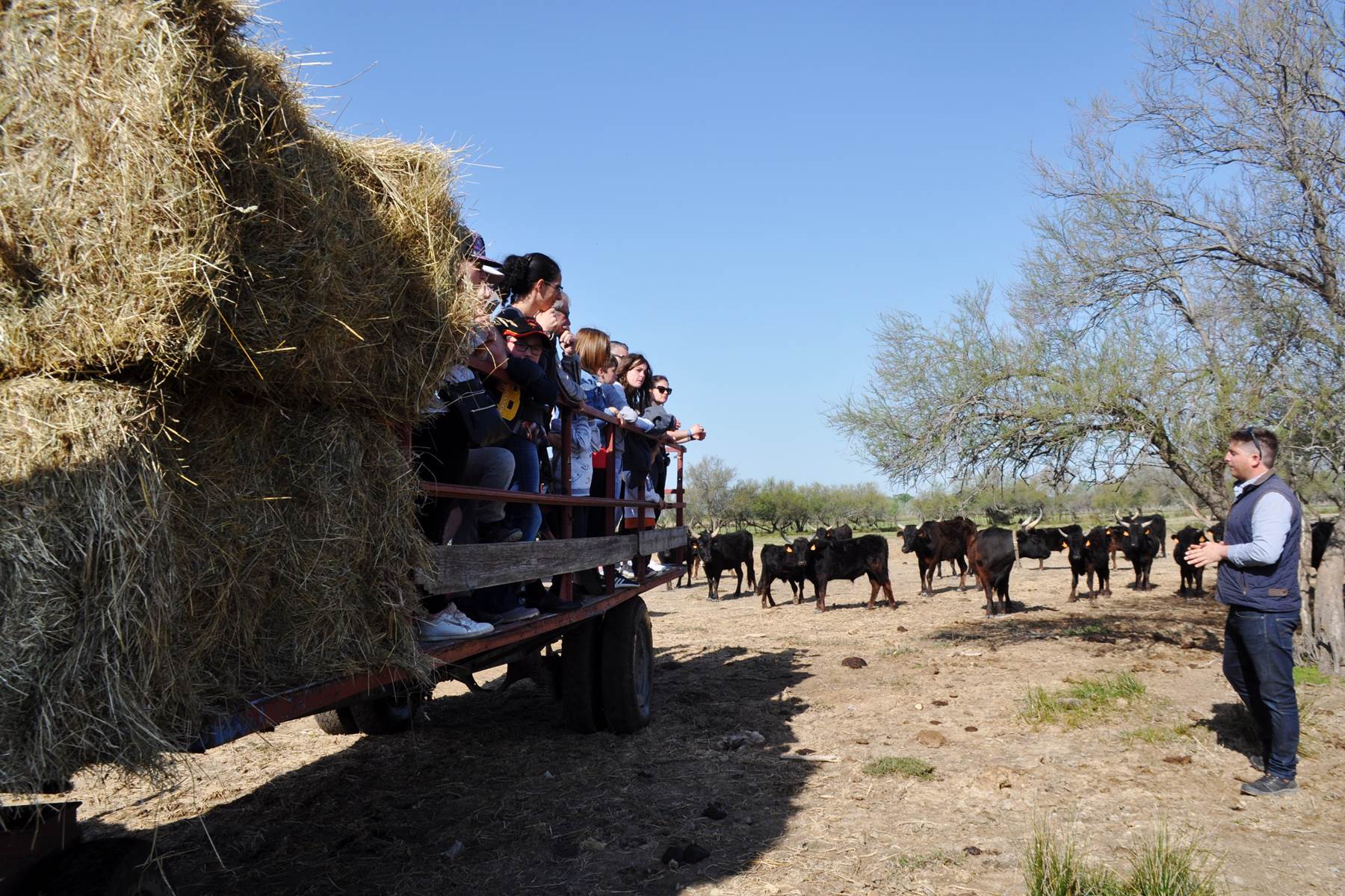 Commentaires sur la conduite de la manade