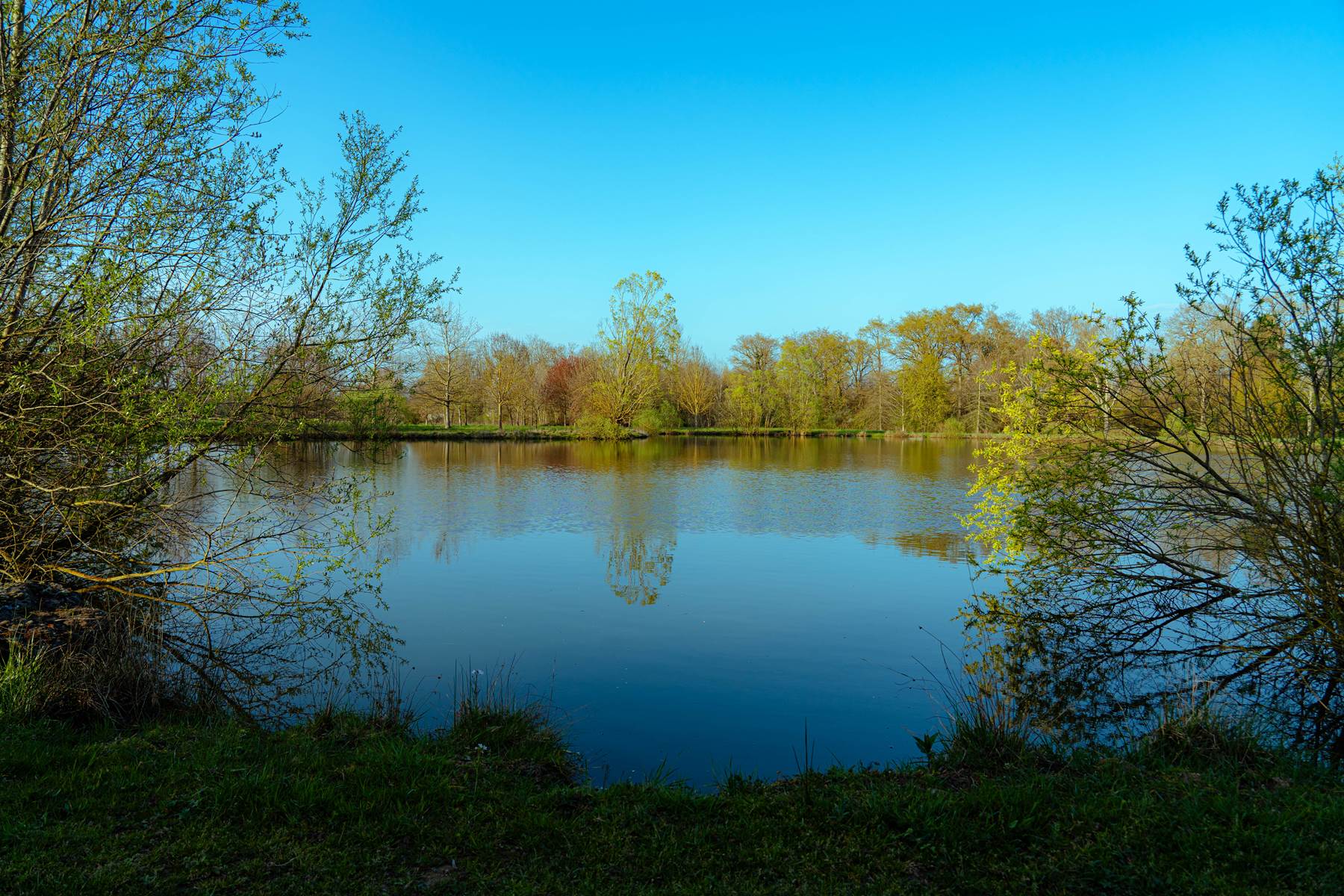 Sans titre-photo-page