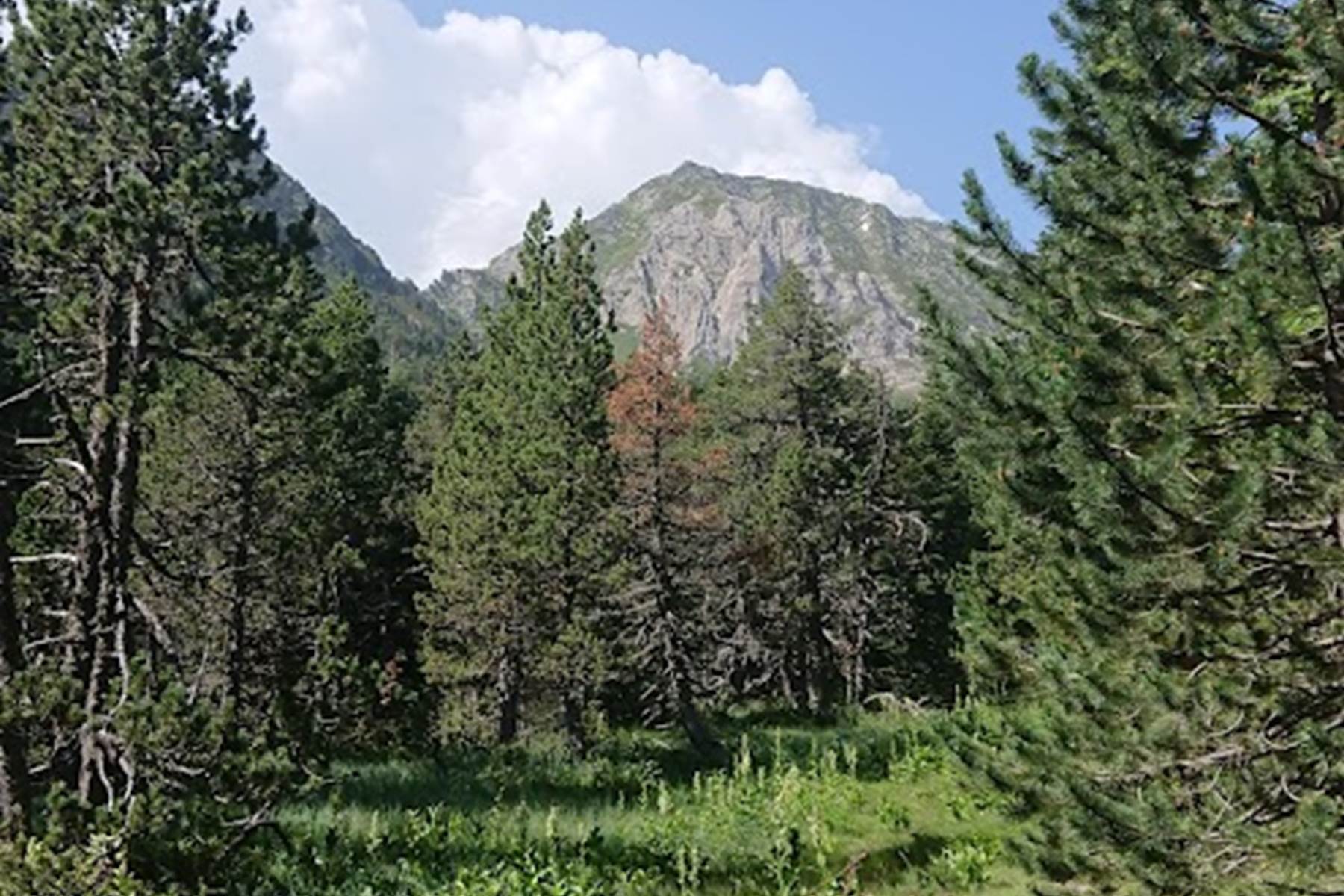 Sans titre-photo-page