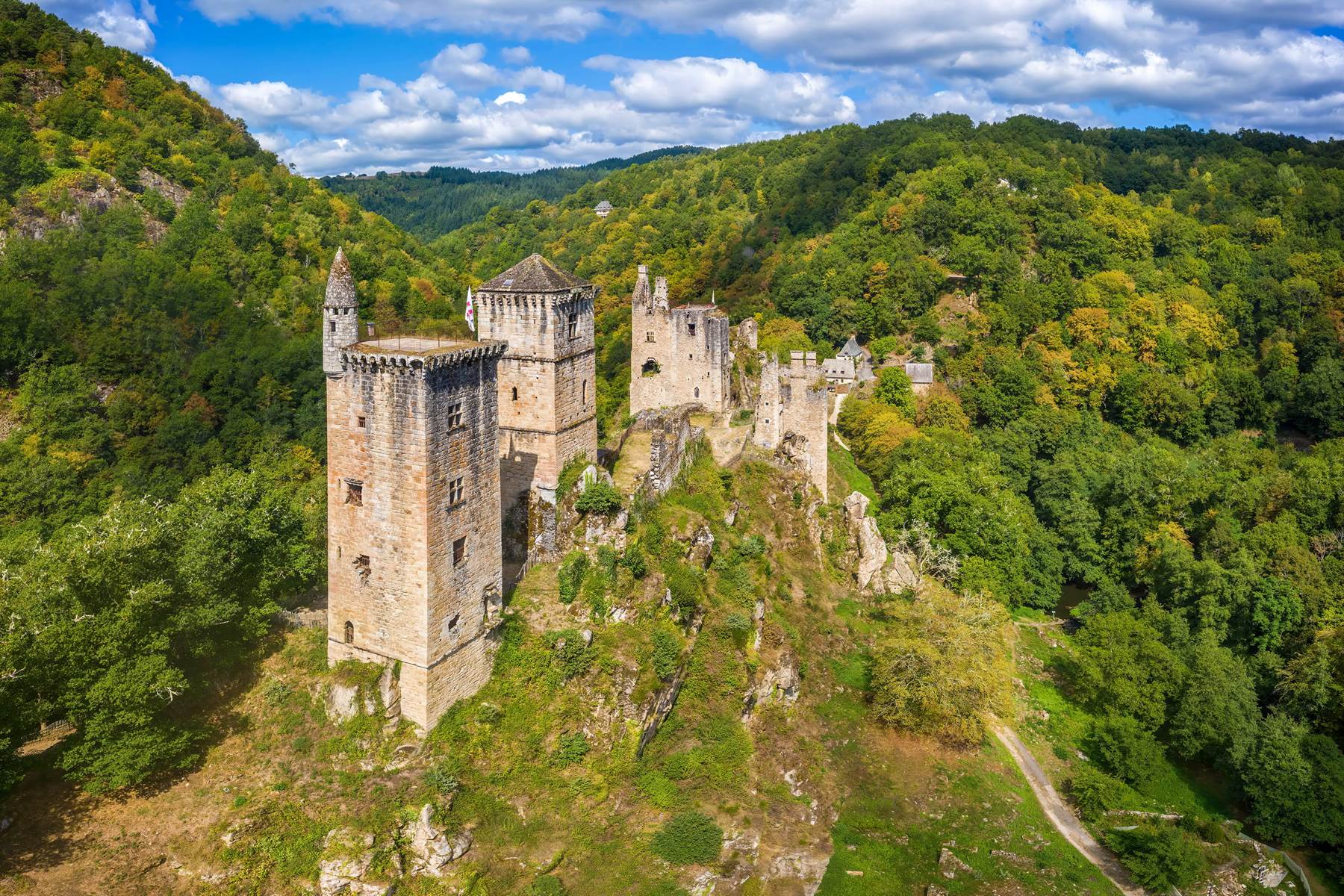 tours-de-merle-gros-plan-edit(2)