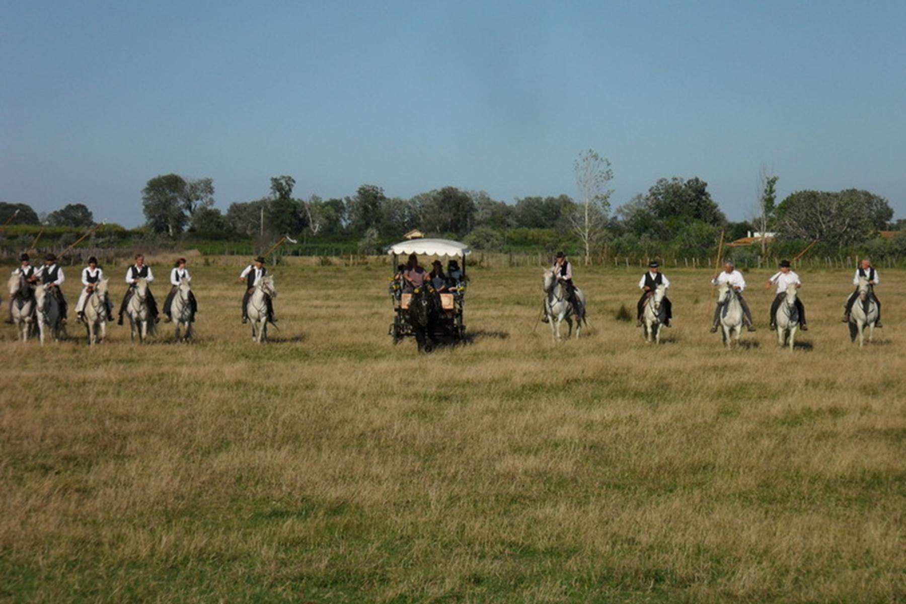 En avant pour "Acamper" les taureaux