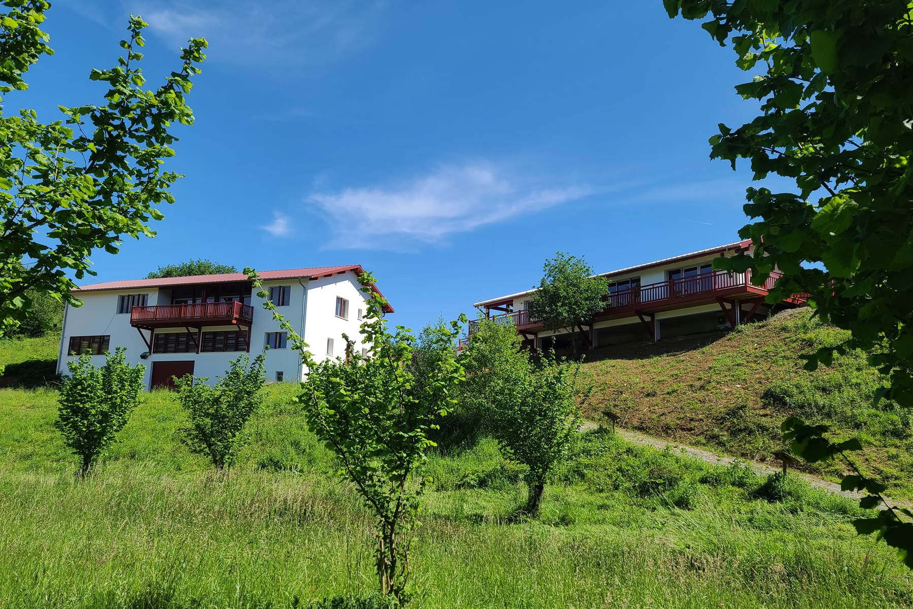 Huilerie Errota - La Noisette Basque