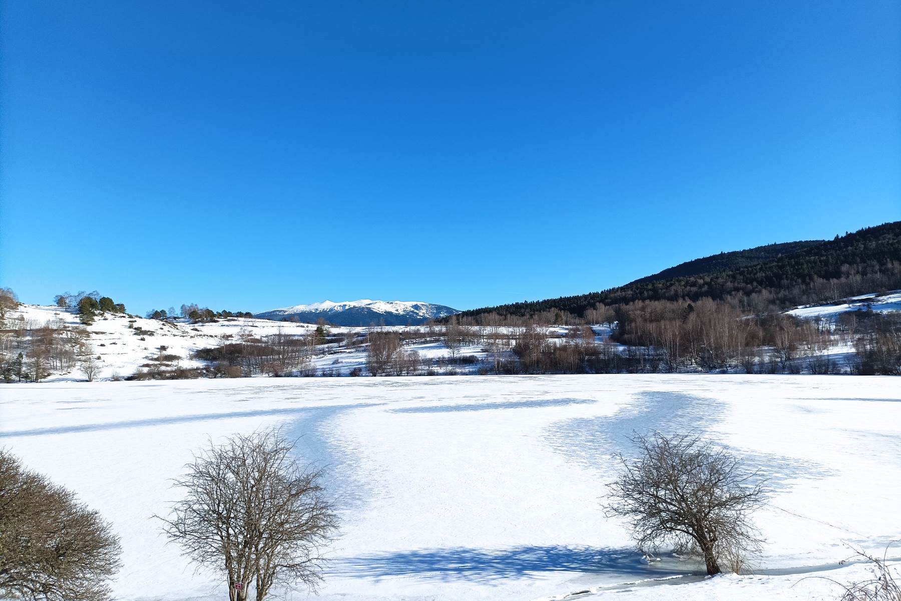 Sans titre-photo-page