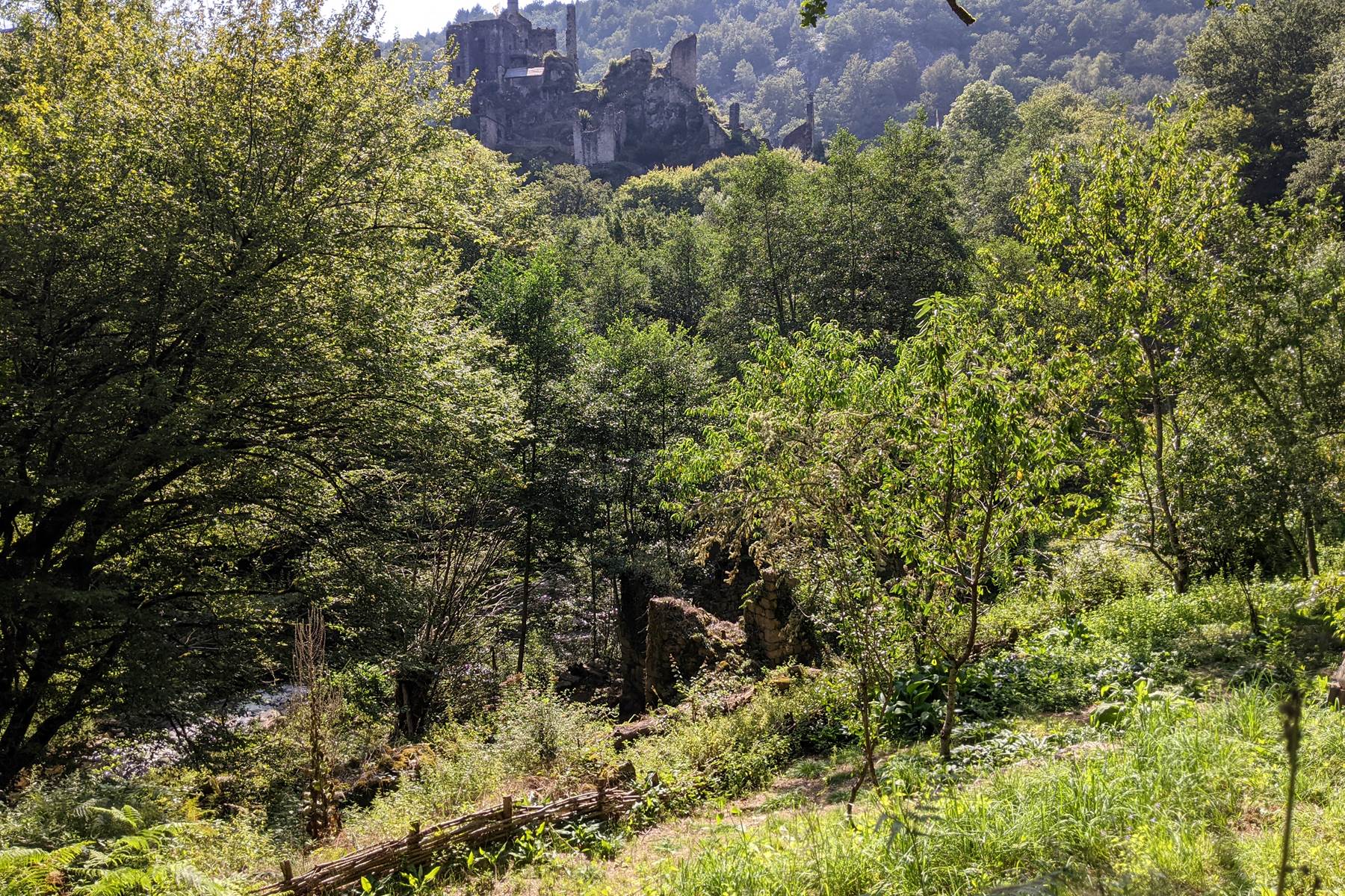 PXL_20210813_144050206