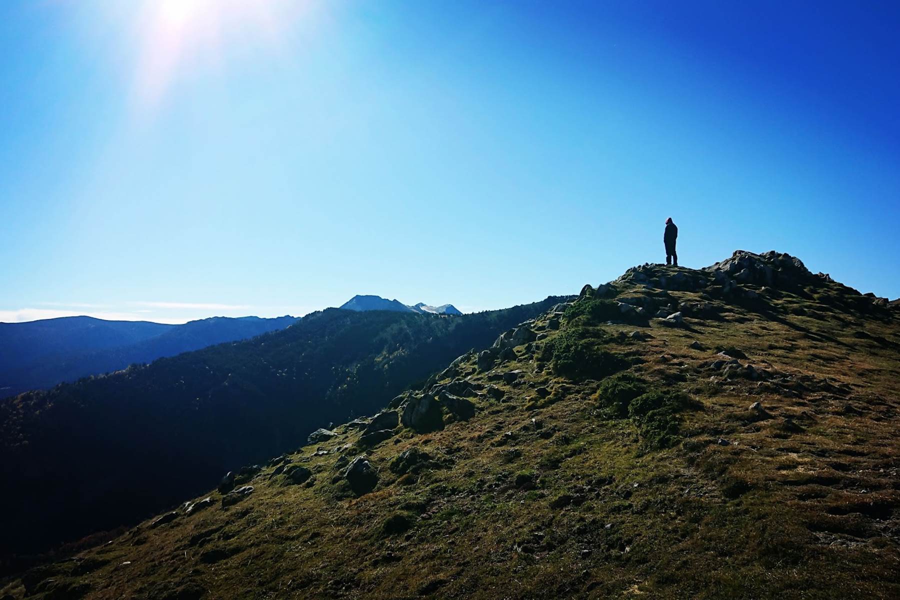 Sans titre-photo-page