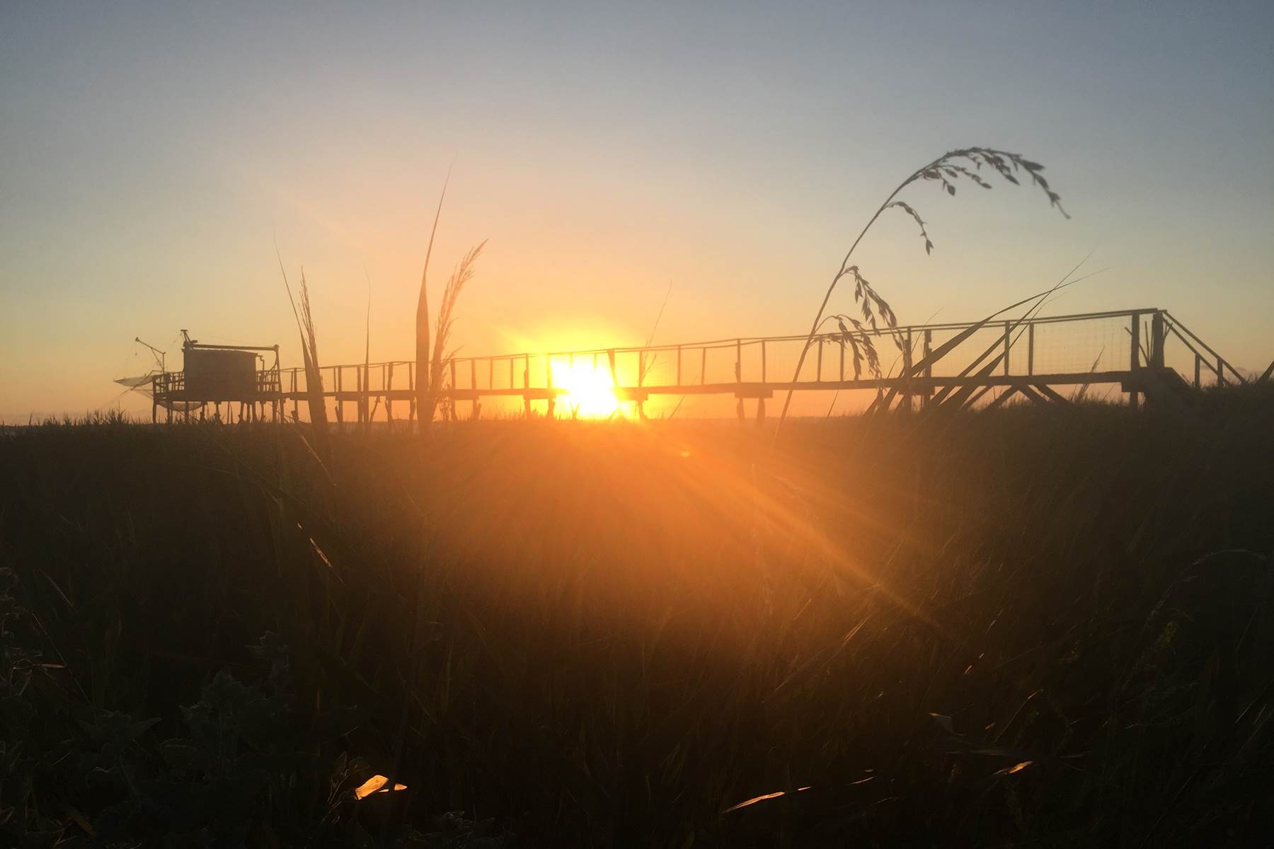 Port des Callonges-photo-page