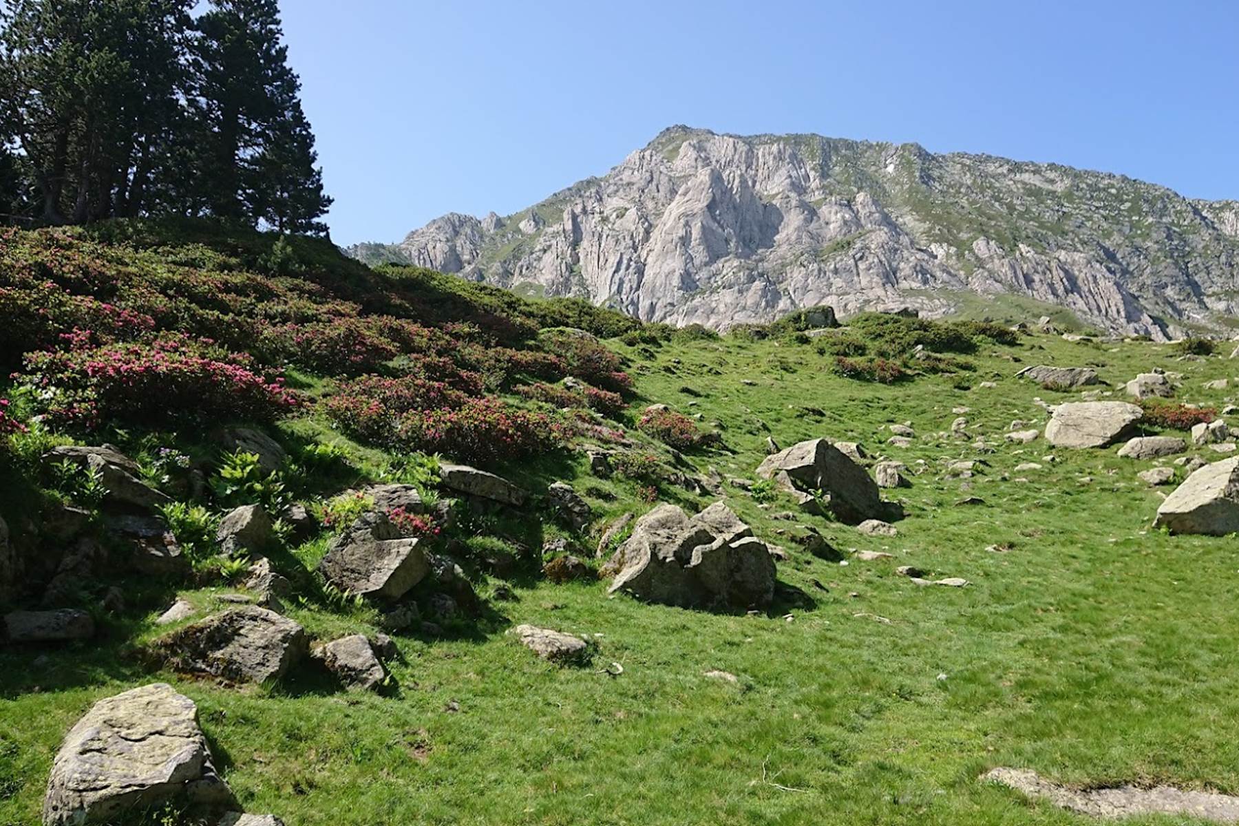 Sans titre-photo-page