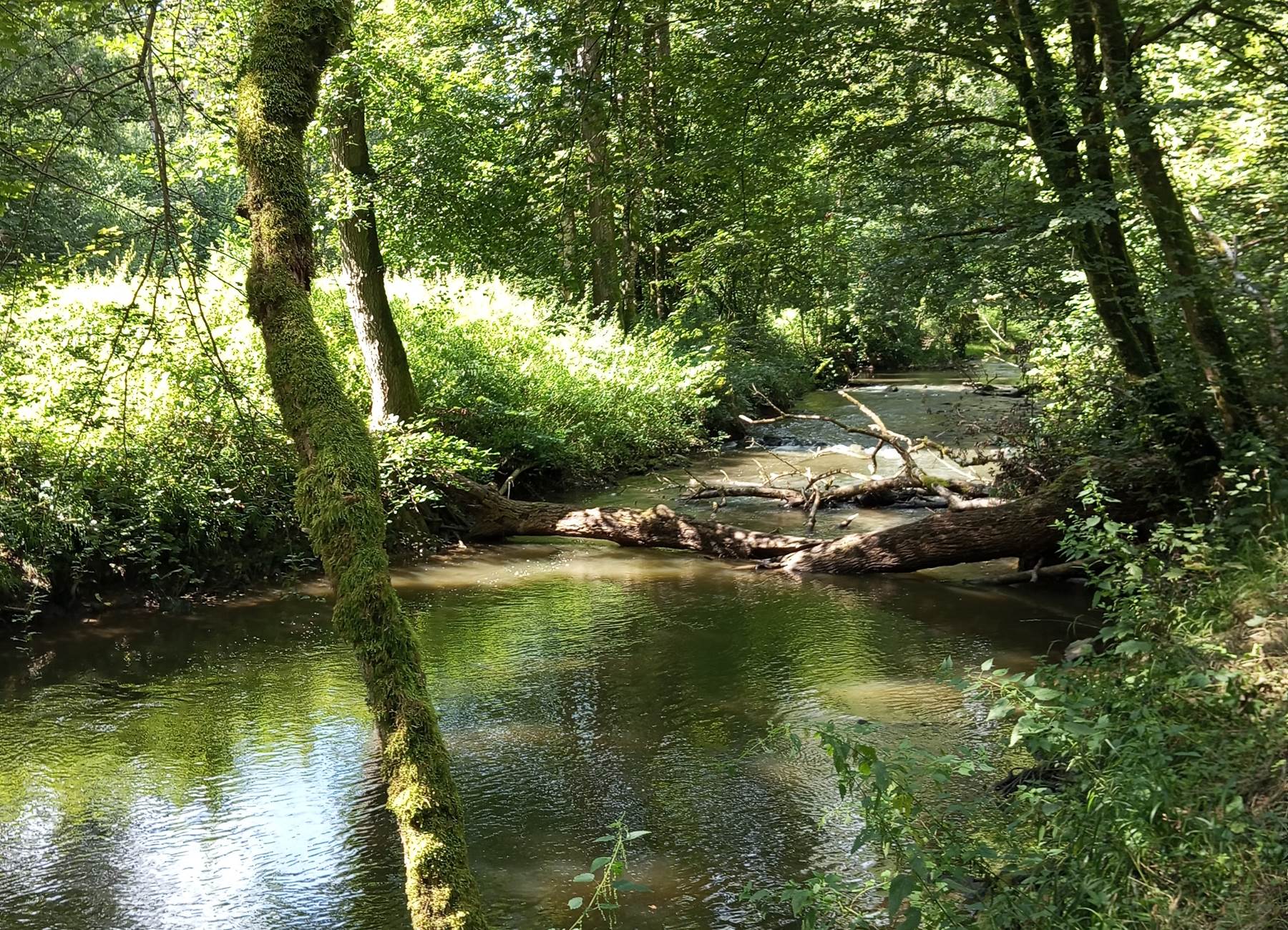 Les balades guidées du parc ESEM