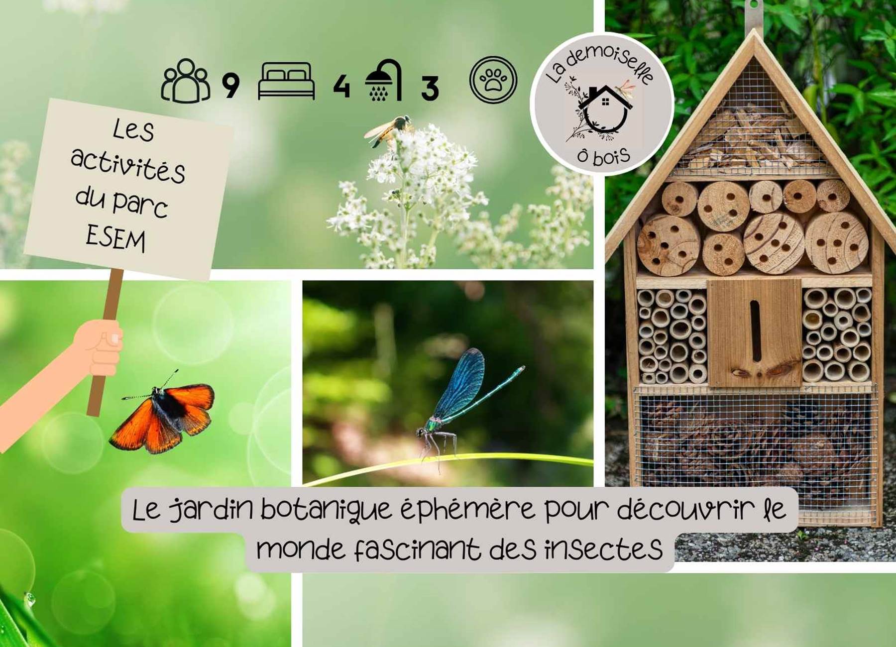 les activités du parc ESEM