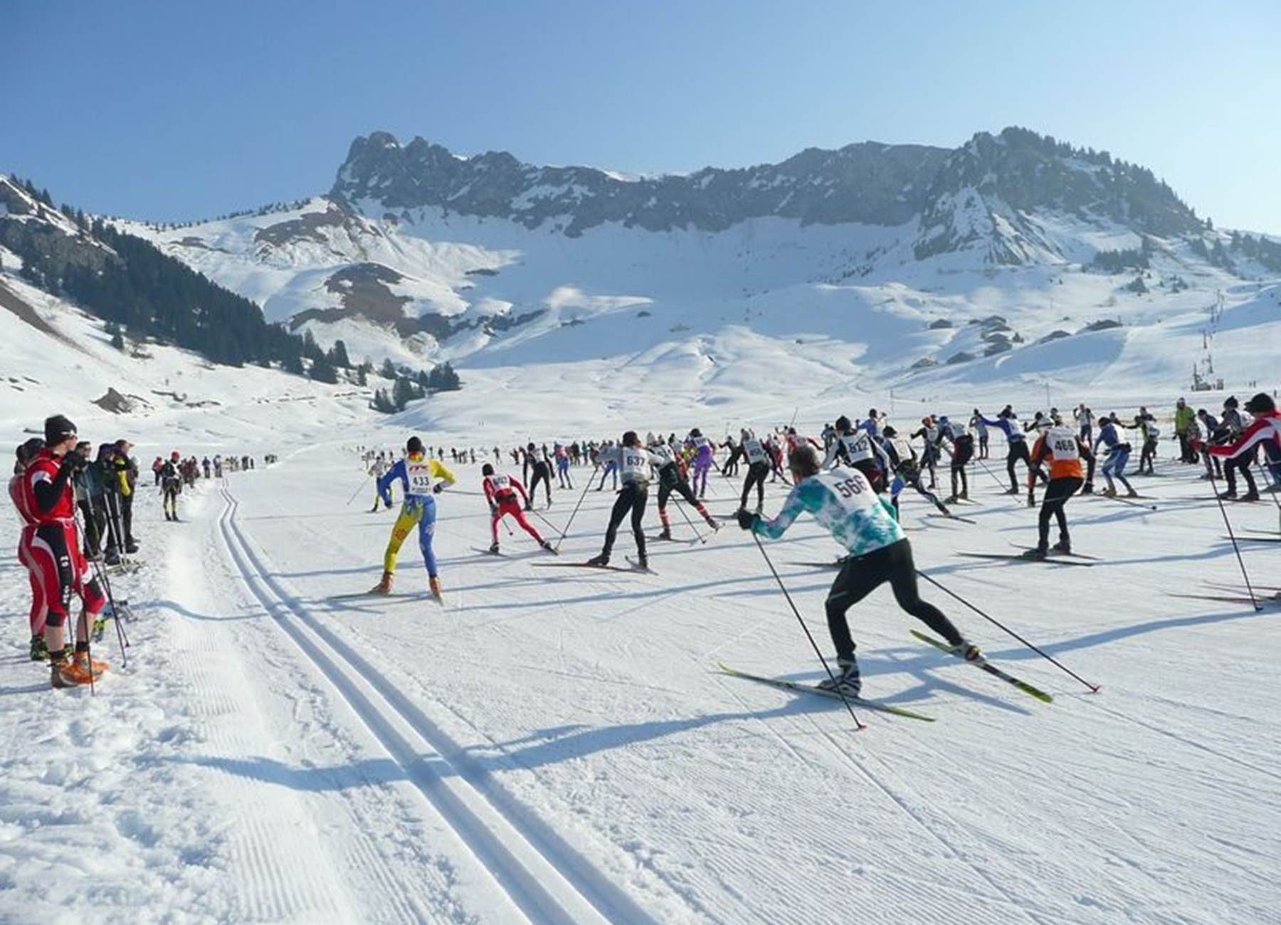 559689_apidae-fiche-header-big