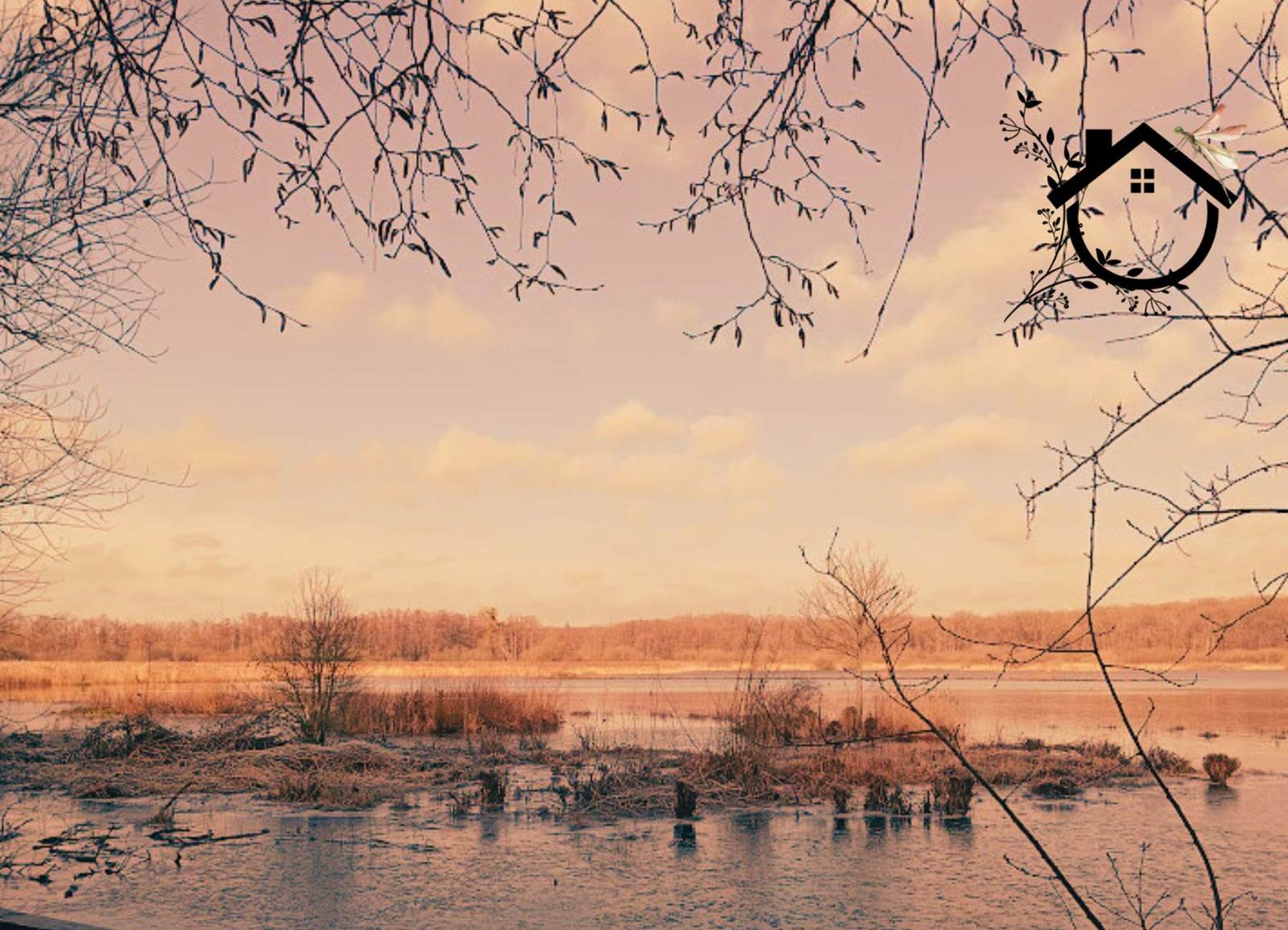 Aube Sauvage - Virelles