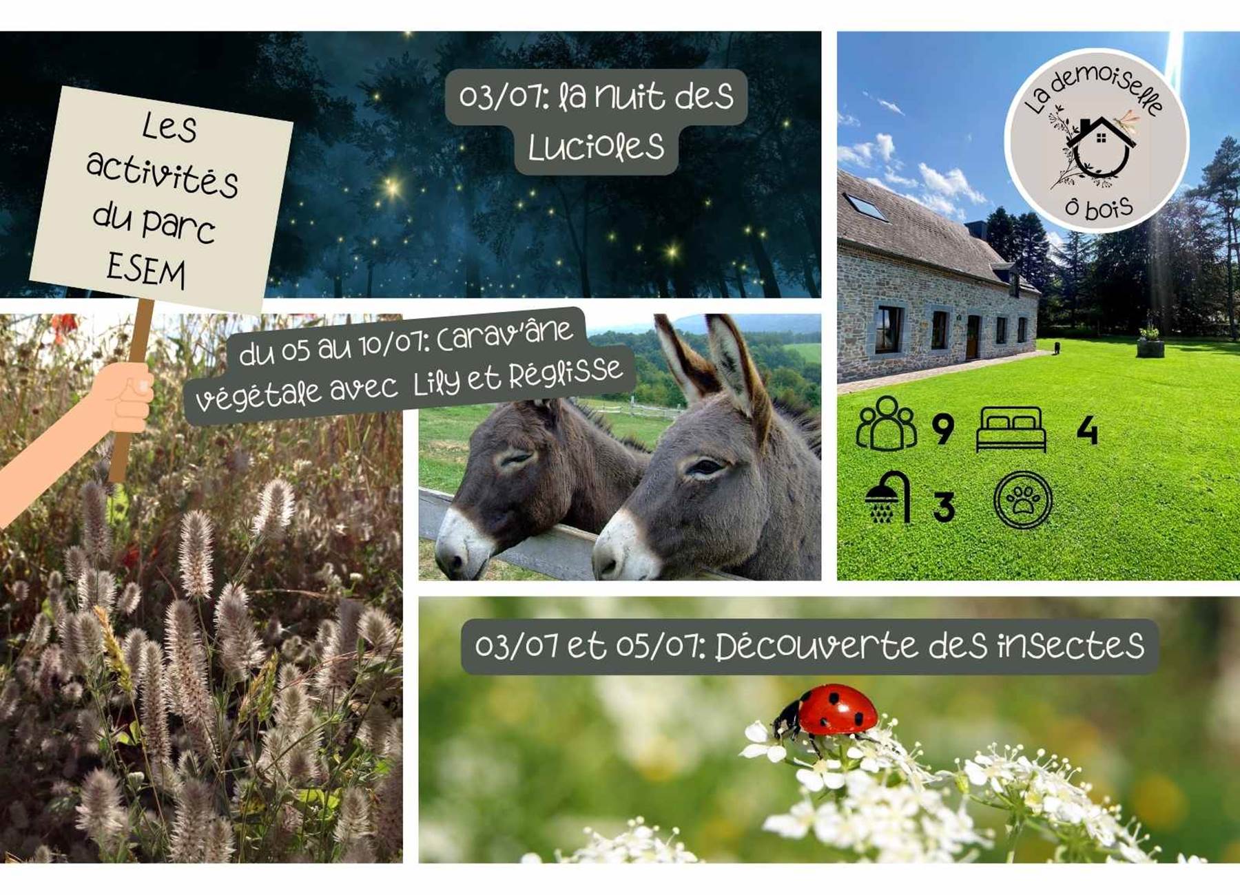 Parc ESEM - Juillet 2025