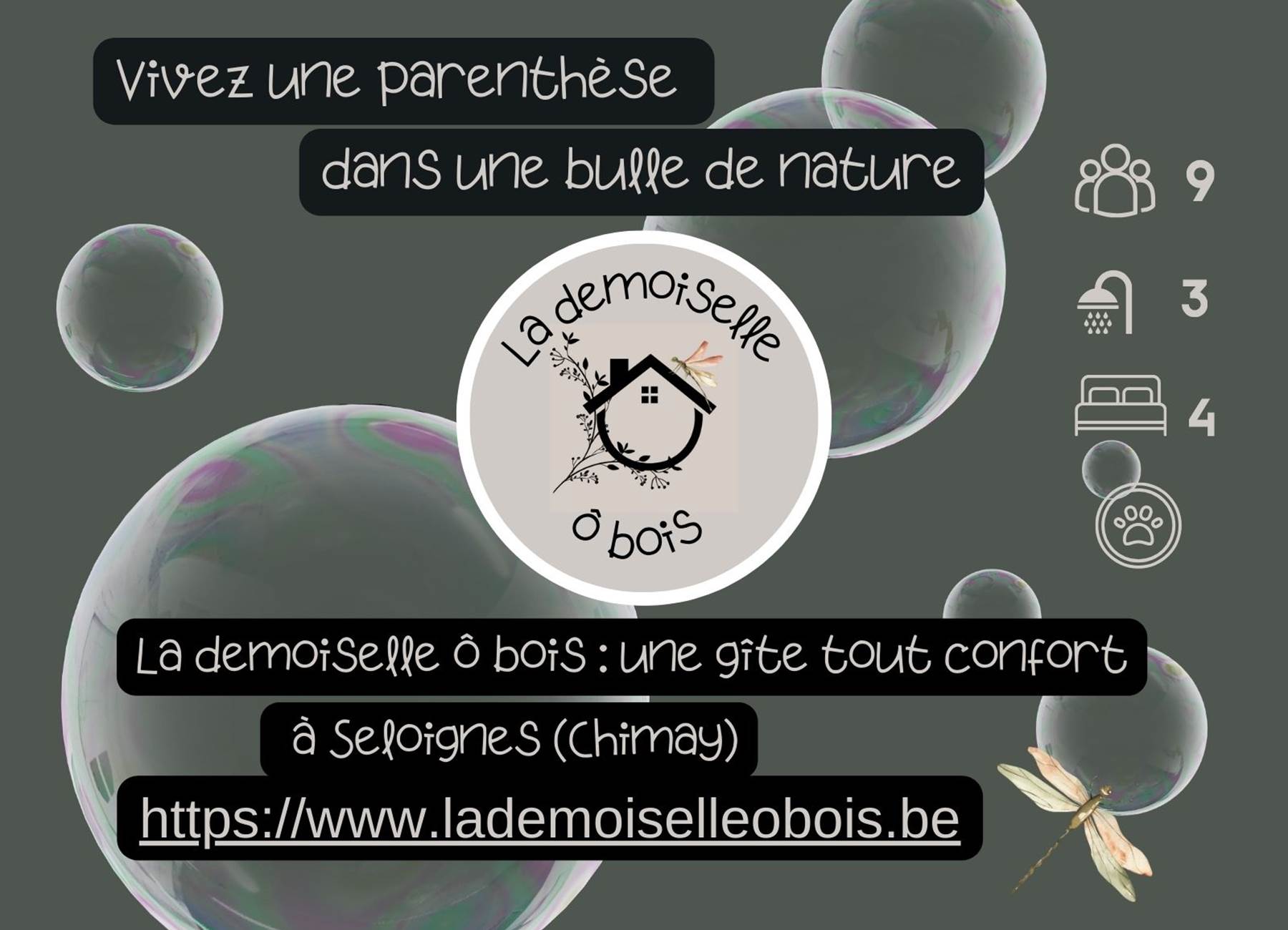 gîte nature et confort- La demoiselle ô bois