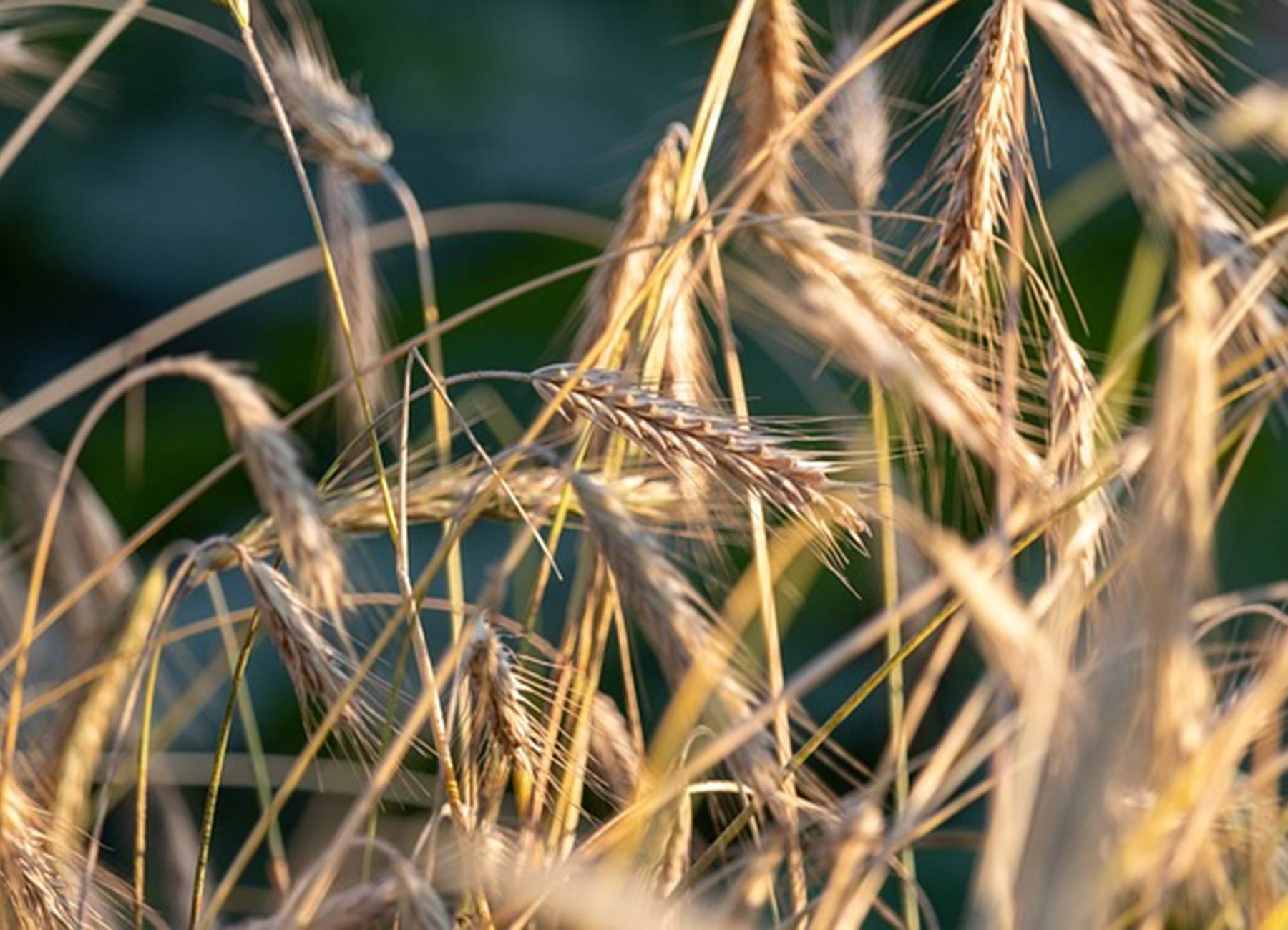 Rencontre avec la filière bio