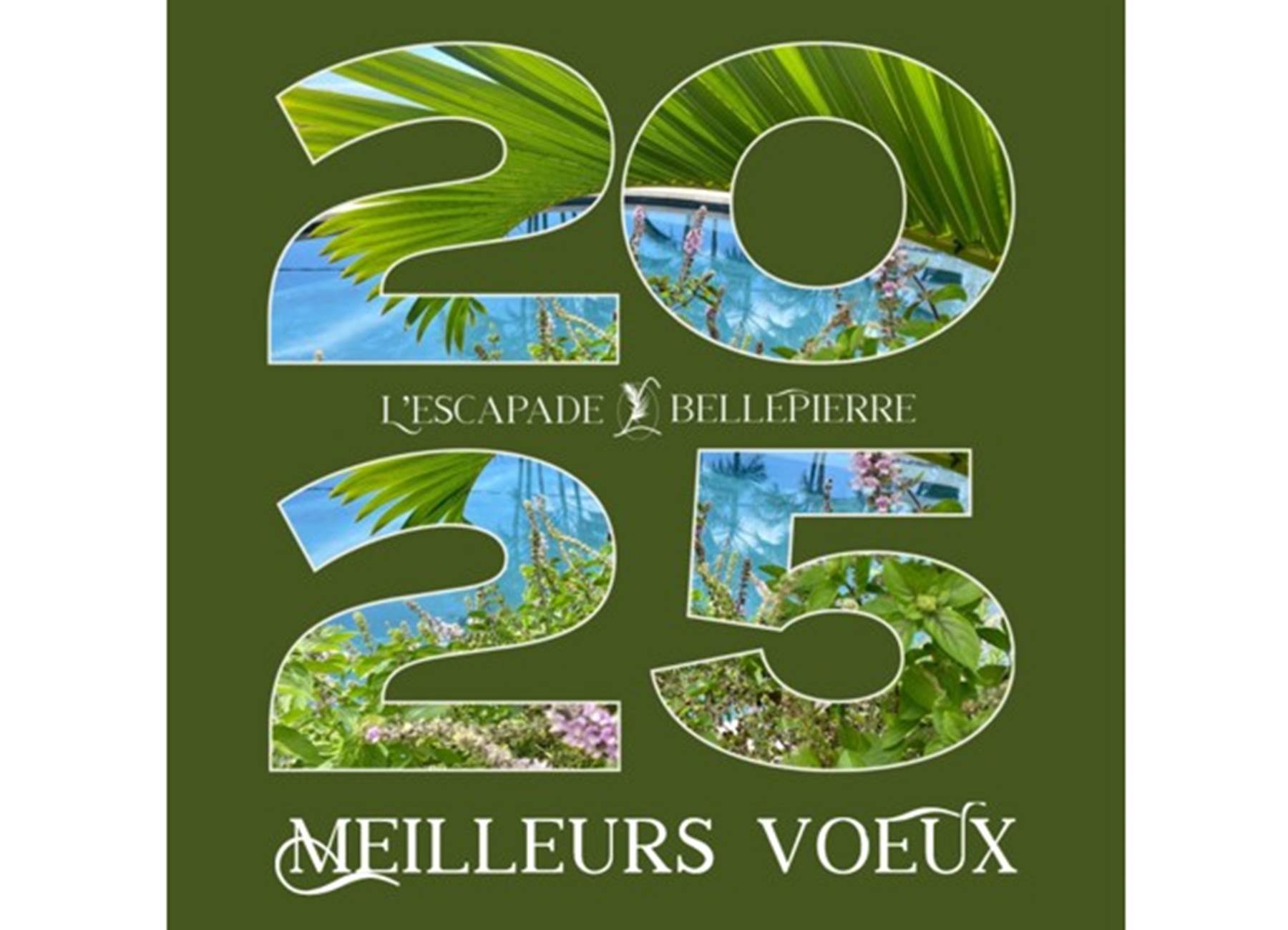 Meilleurs vœux 2025