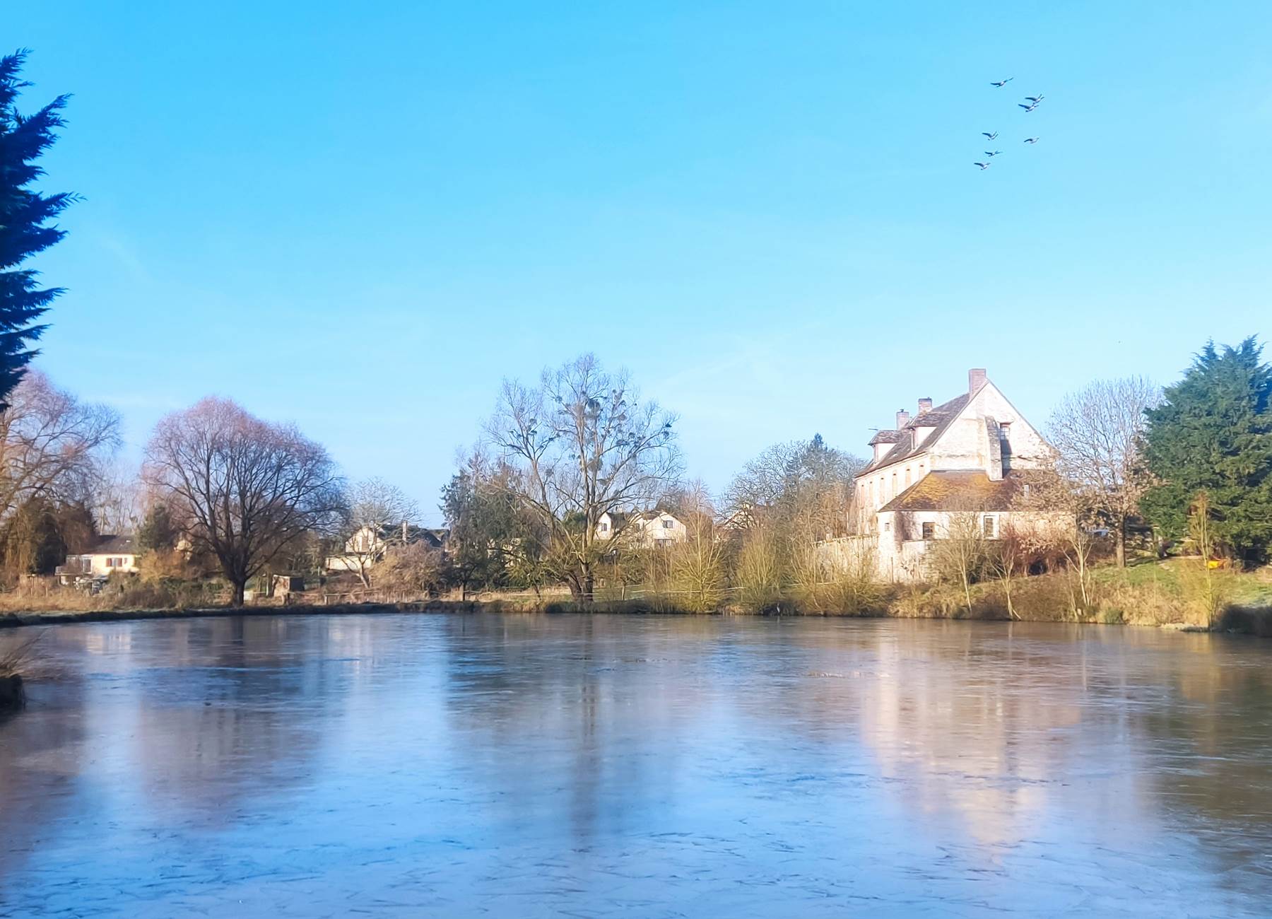 soleil de février à la ferme