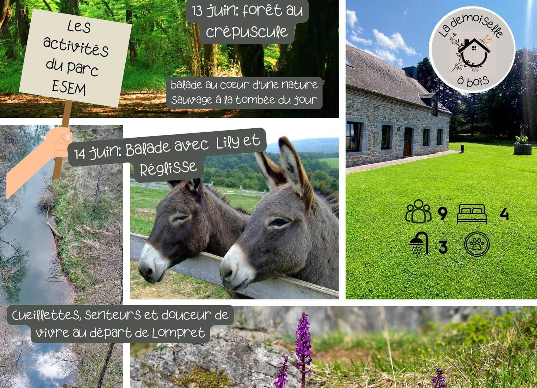 les activités du parc ESEM