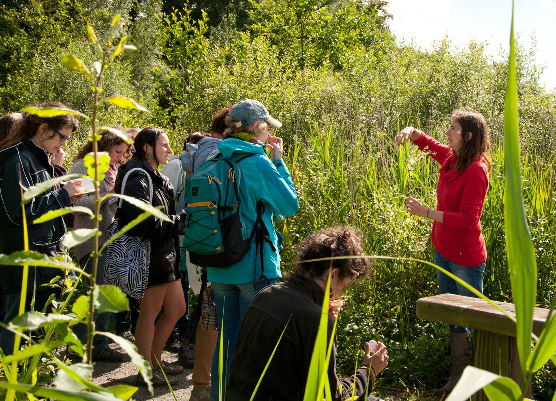 Photo éditée par le parc ESEM